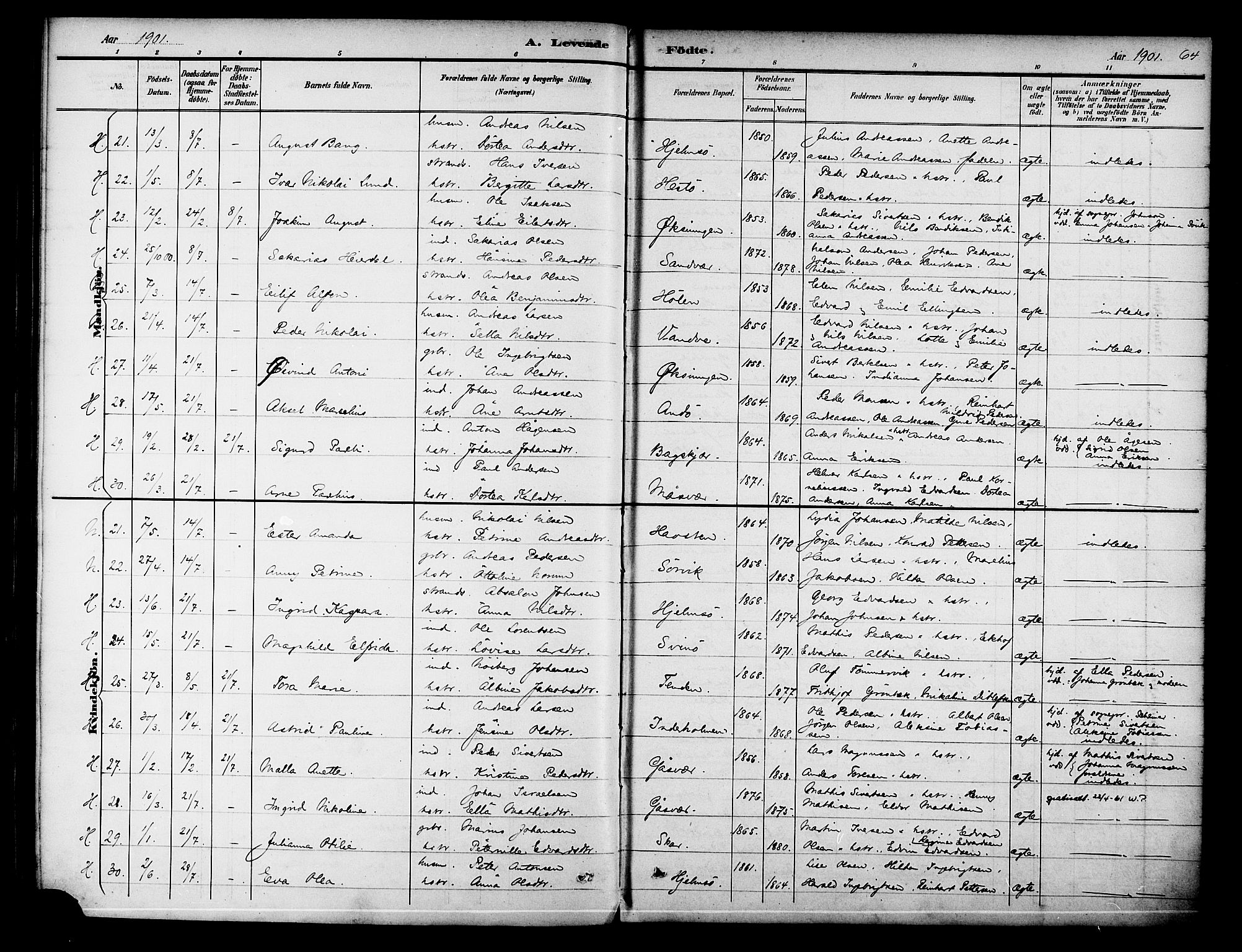 Ministerialprotokoller, klokkerbøker og fødselsregistre - Nordland, SAT/A-1459/834/L0508: Parish register (official) no. 834A06, 1892-1901, p. 64