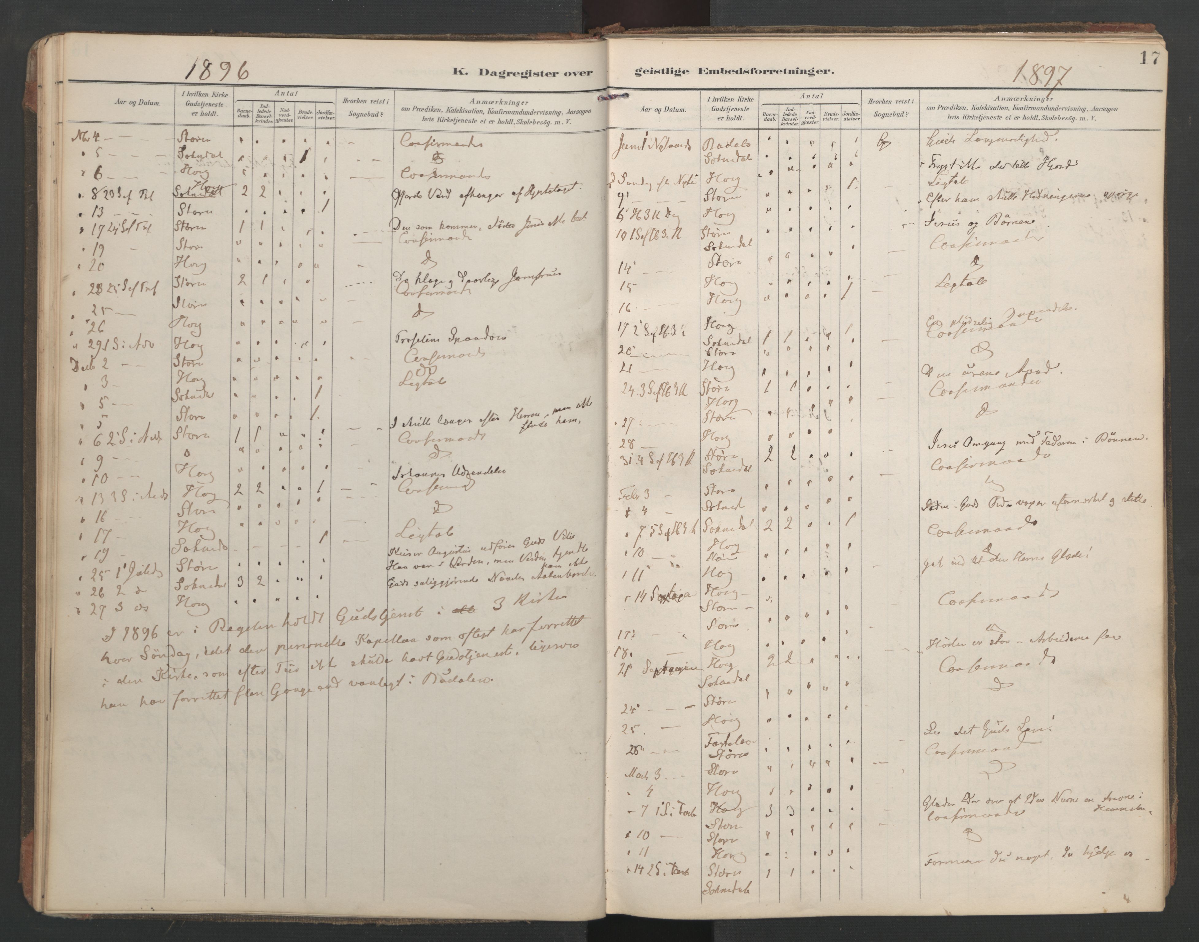Ministerialprotokoller, klokkerbøker og fødselsregistre - Sør-Trøndelag, SAT/A-1456/687/L1005: Diary records no. 687A11, 1891-1912, p. 17