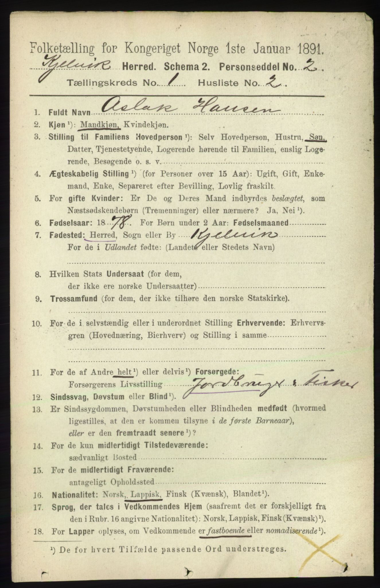 RA, 1891 census for 2019 Kjelvik, 1891, p. 45