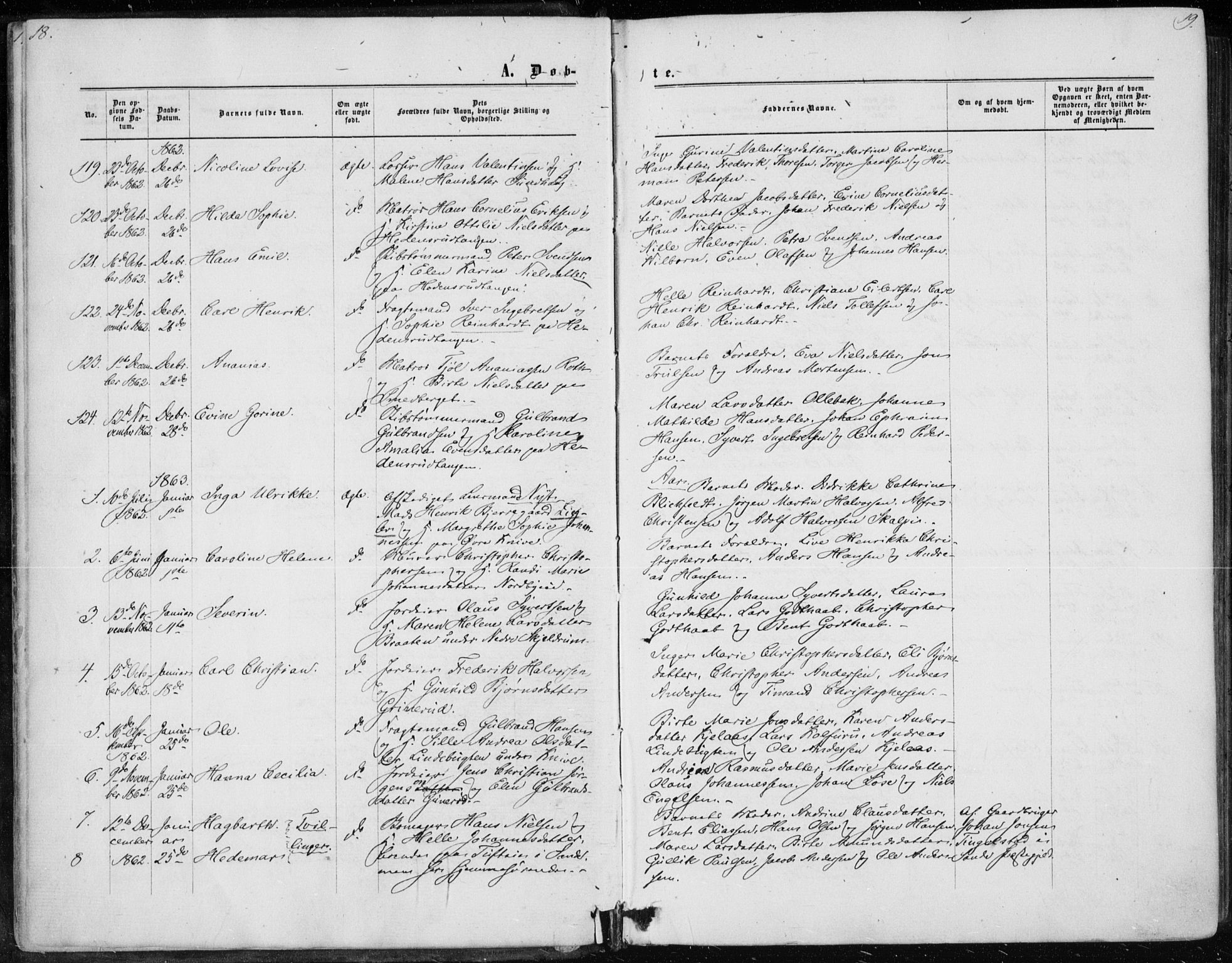 Skoger kirkebøker, AV/SAKO-A-59/F/Fa/L0004: Parish register (official) no. I 4, 1862-1872, p. 18-19