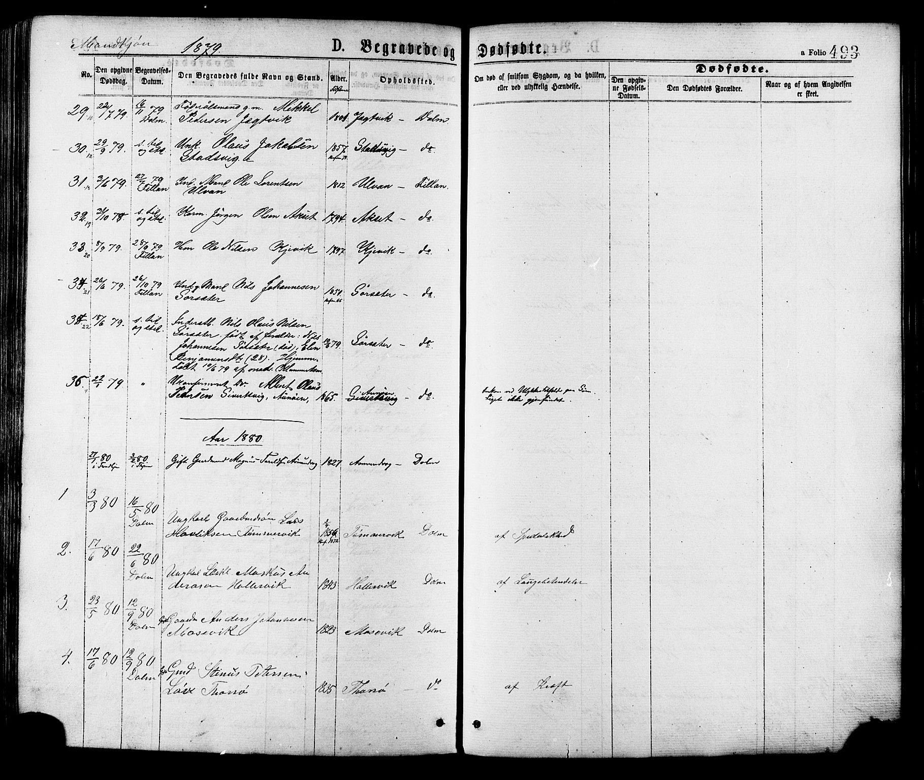 Ministerialprotokoller, klokkerbøker og fødselsregistre - Sør-Trøndelag, SAT/A-1456/634/L0532: Parish register (official) no. 634A08, 1871-1881, p. 493