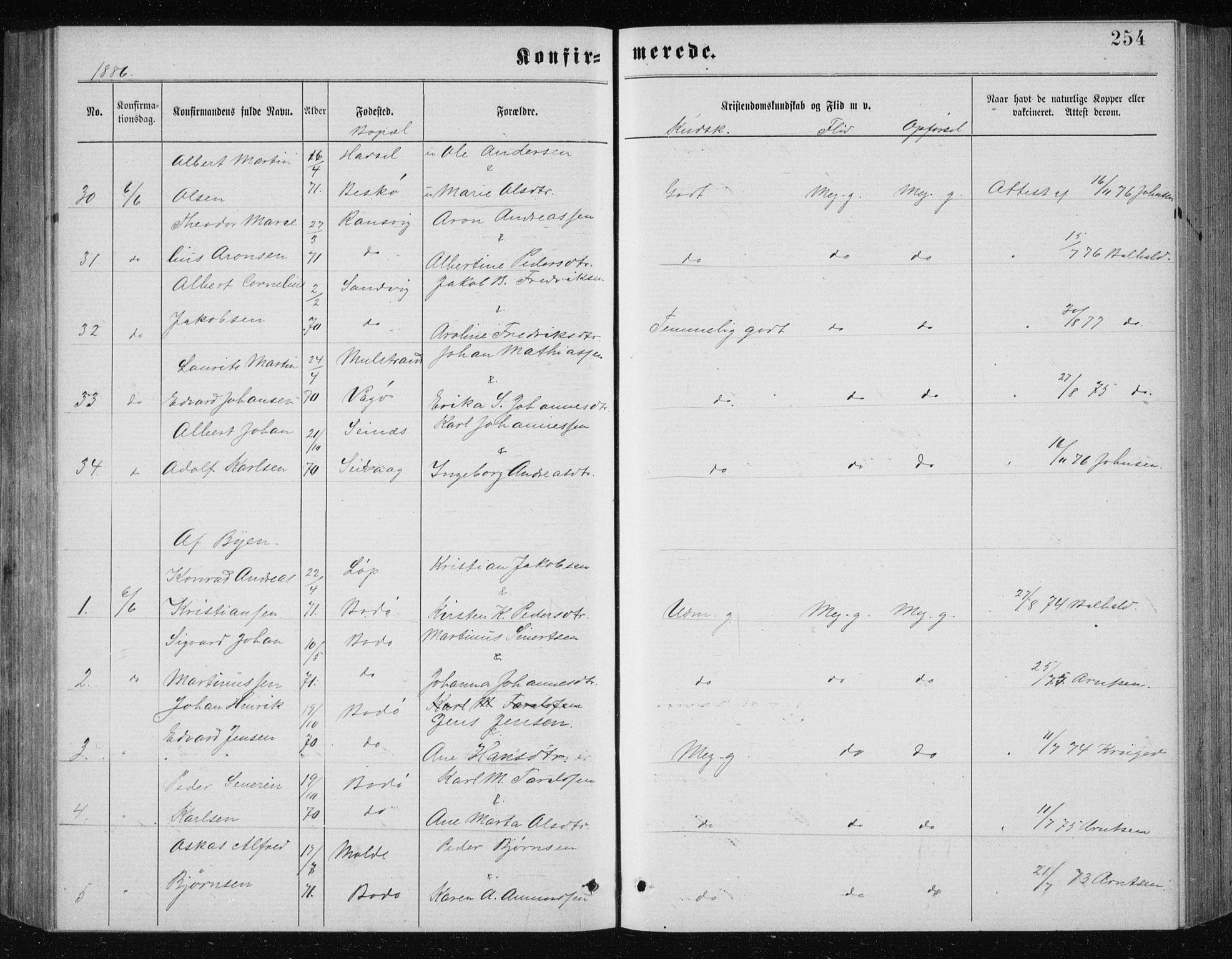 Ministerialprotokoller, klokkerbøker og fødselsregistre - Nordland, AV/SAT-A-1459/801/L0031: Parish register (copy) no. 801C06, 1883-1887, p. 254