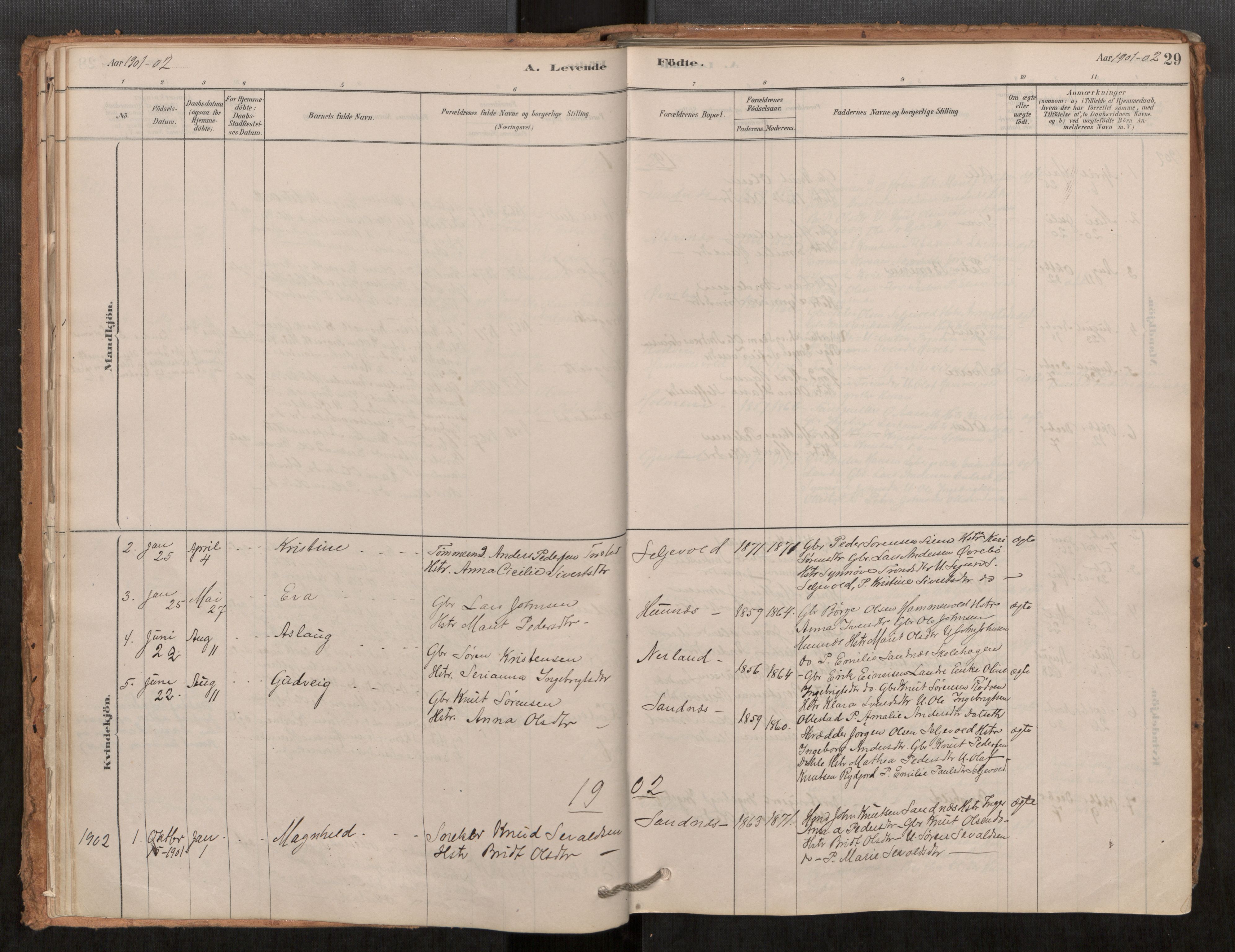 Ministerialprotokoller, klokkerbøker og fødselsregistre - Møre og Romsdal, AV/SAT-A-1454/548/L0615: Parish register (official) no. 548A02, 1878-1906, p. 29