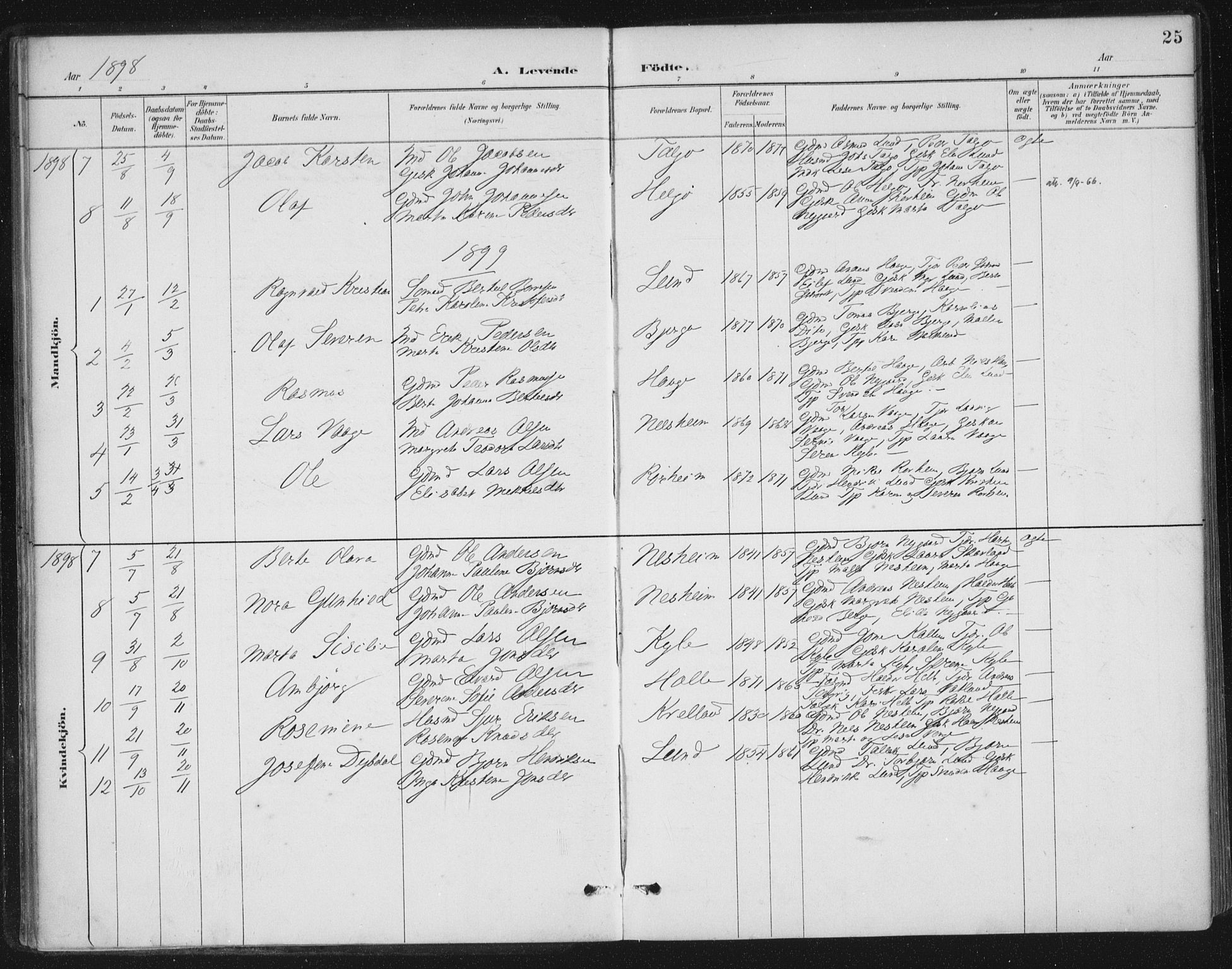 Nedstrand sokneprestkontor, AV/SAST-A-101841/01/IV: Parish register (official) no. A 13, 1887-1915, p. 25