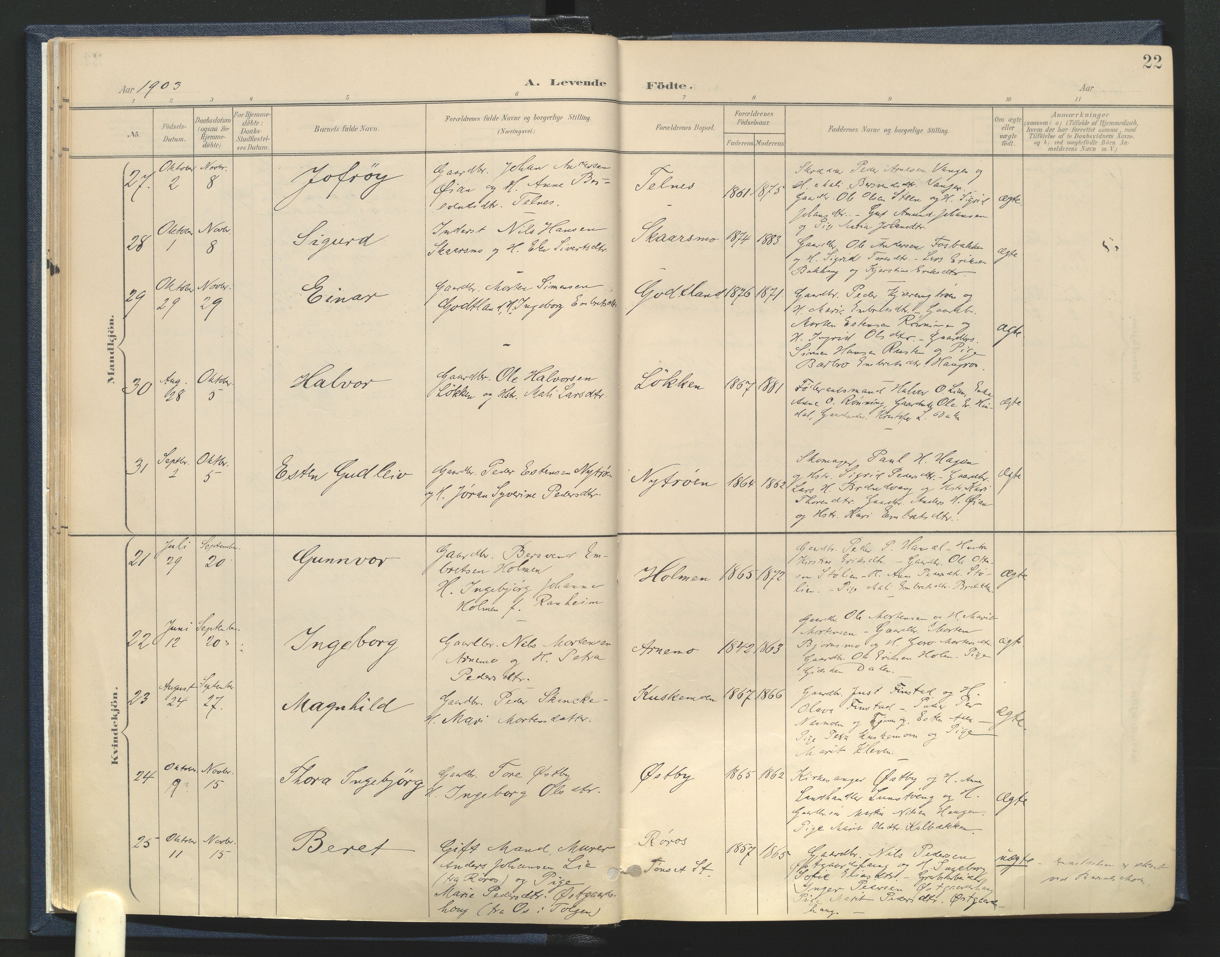 Tynset prestekontor, SAH/PREST-058/H/Ha/Haa/L0025: Parish register (official) no. 25, 1900-1914, p. 22