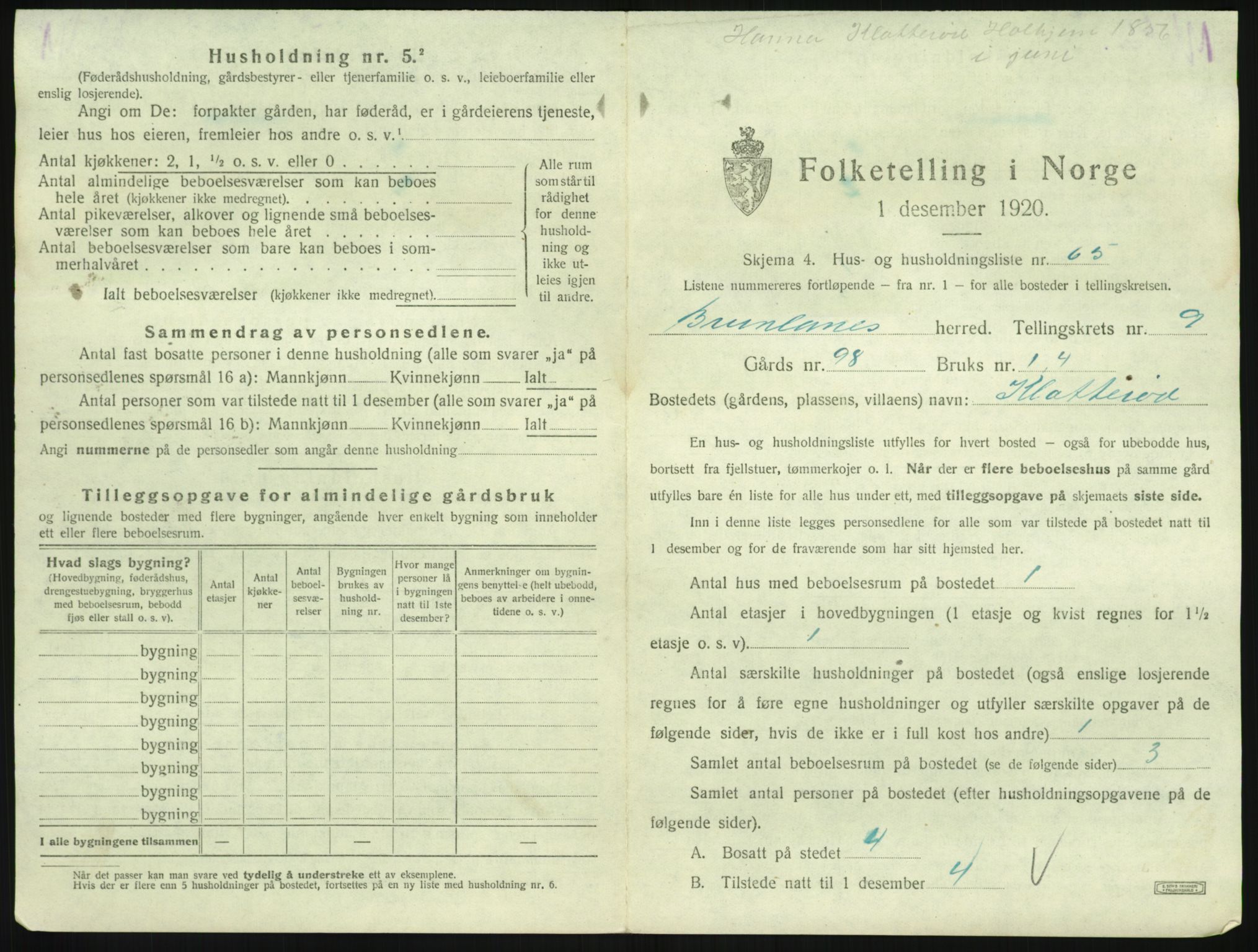 SAKO, 1920 census for Brunlanes, 1920, p. 1209