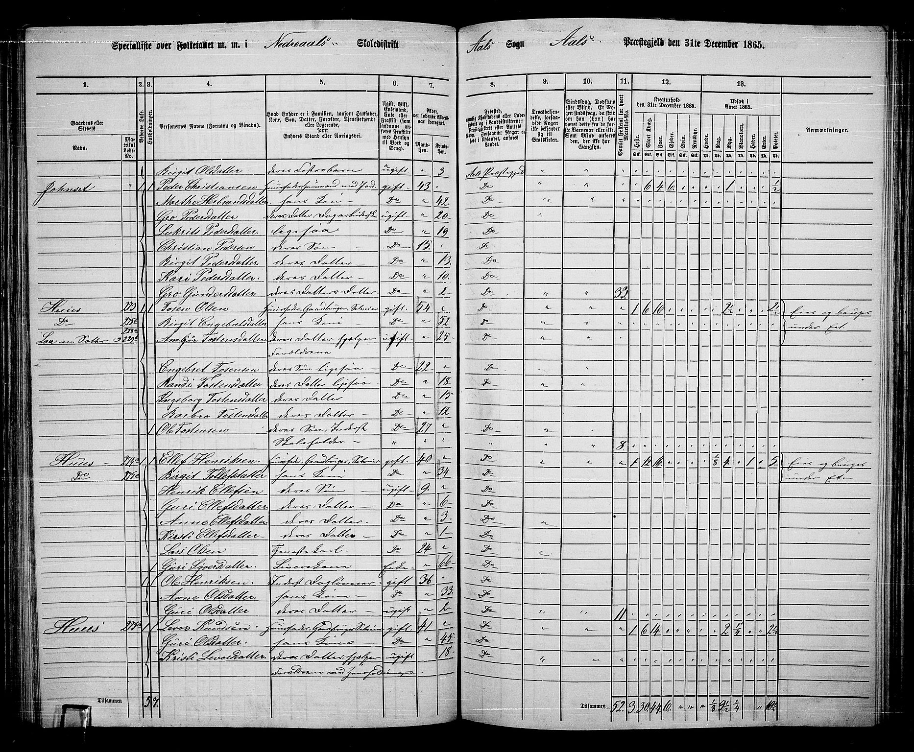 RA, 1865 census for Ål, 1865, p. 147