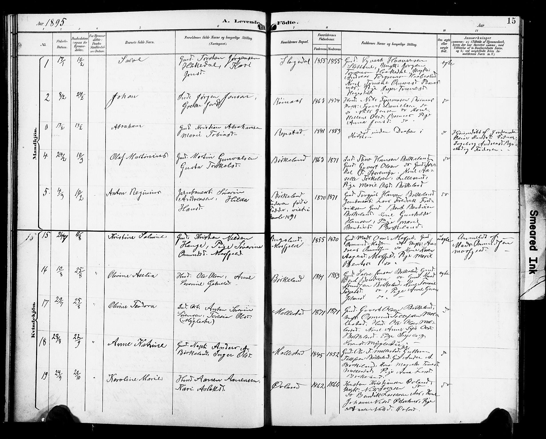 Birkenes sokneprestkontor, SAK/1111-0004/F/Fb/L0004: Parish register (copy) no. B 4, 1893-1930, p. 15