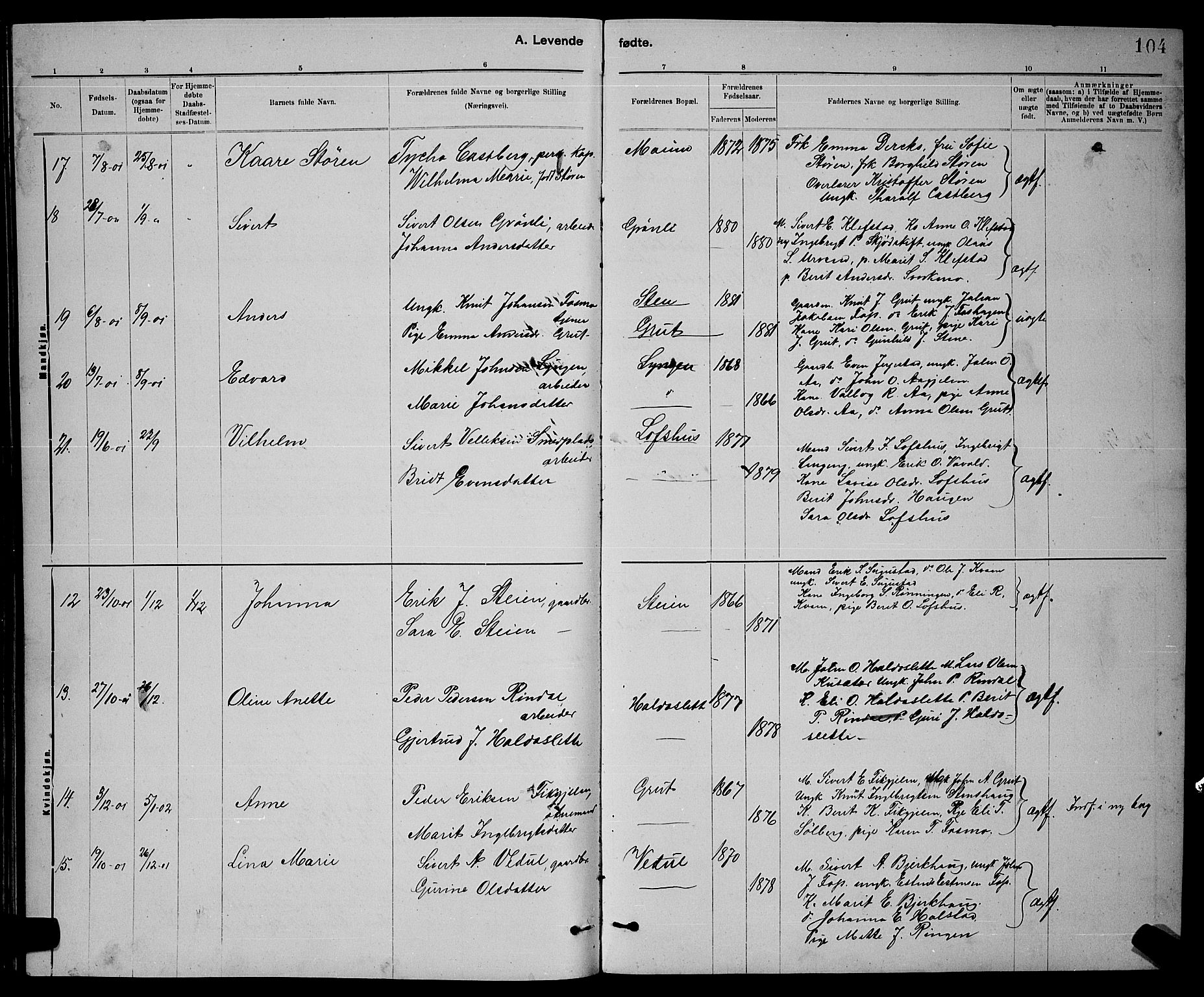 Ministerialprotokoller, klokkerbøker og fødselsregistre - Sør-Trøndelag, SAT/A-1456/672/L0863: Parish register (copy) no. 672C02, 1888-1901, p. 104