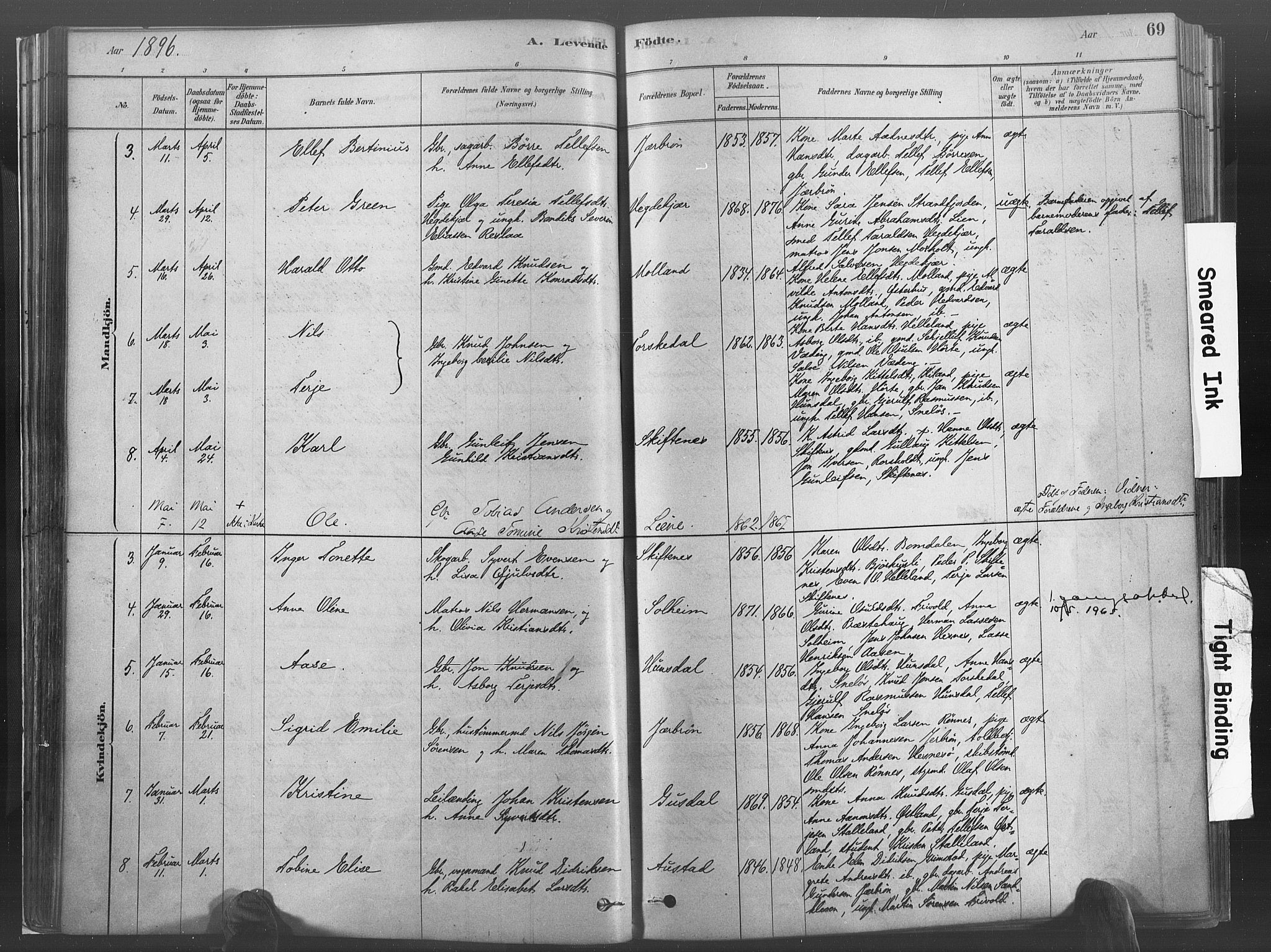 Hommedal sokneprestkontor, SAK/1111-0023/F/Fa/Fab/L0006: Parish register (official) no. A 6, 1878-1897, p. 69