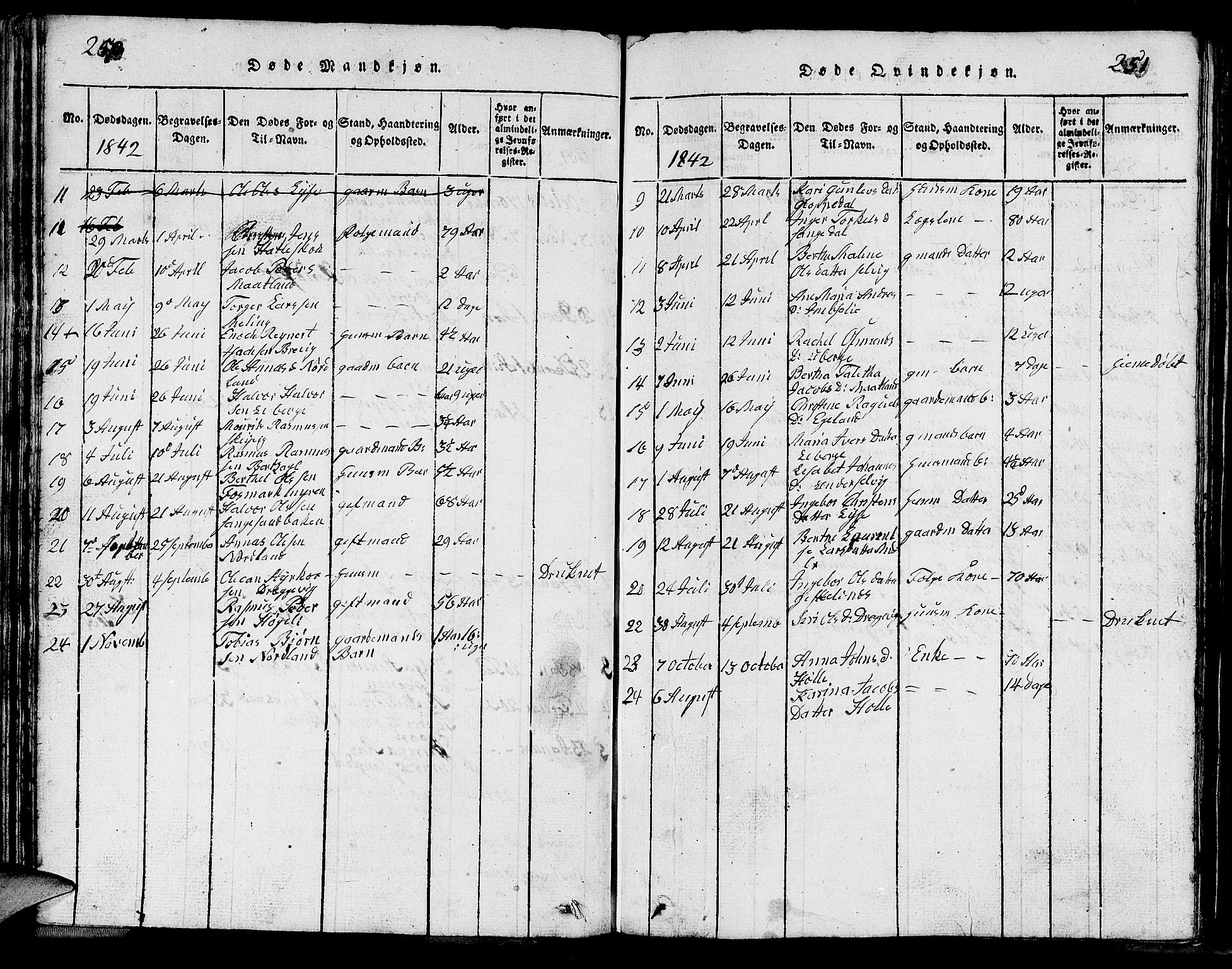 Strand sokneprestkontor, SAST/A-101828/H/Ha/Hab/L0002: Parish register (copy) no. B 2, 1816-1854, p. 250-251