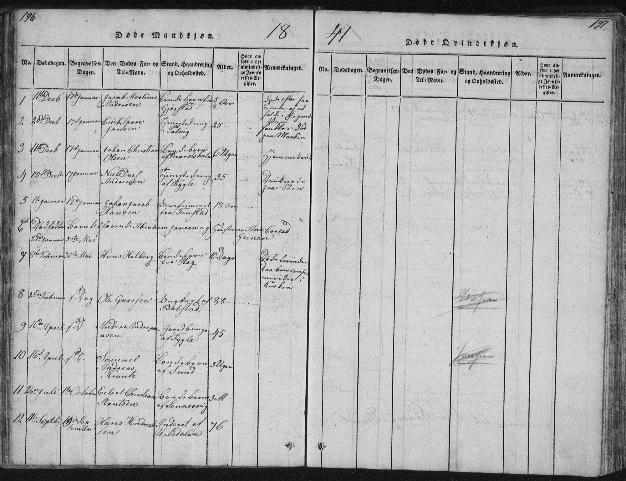 Ministerialprotokoller, klokkerbøker og fødselsregistre - Nordland, SAT/A-1459/881/L1164: Parish register (copy) no. 881C01, 1818-1853, p. 196-197