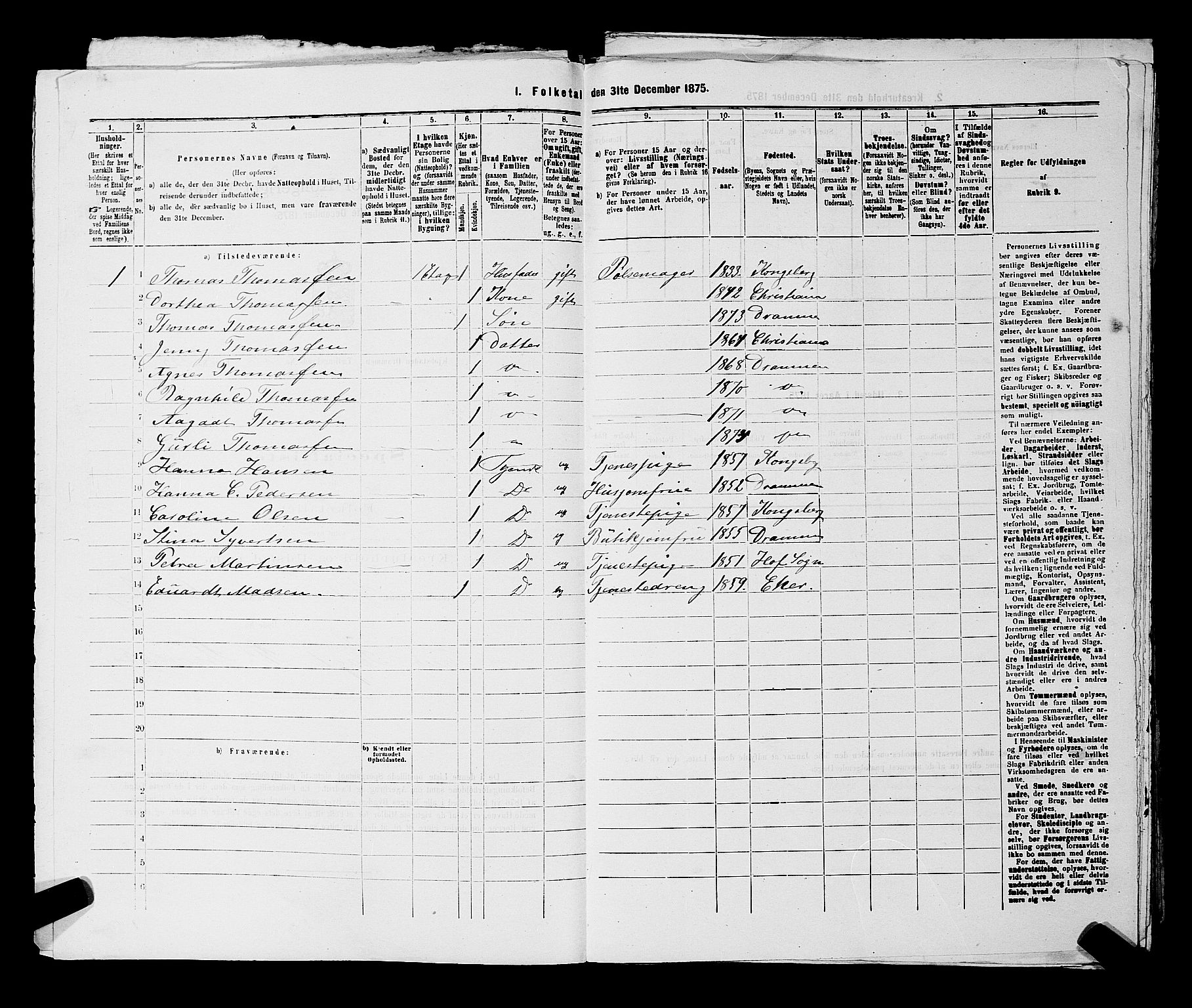 SAKO, 1875 census for 0602 Drammen, 1875, p. 1491