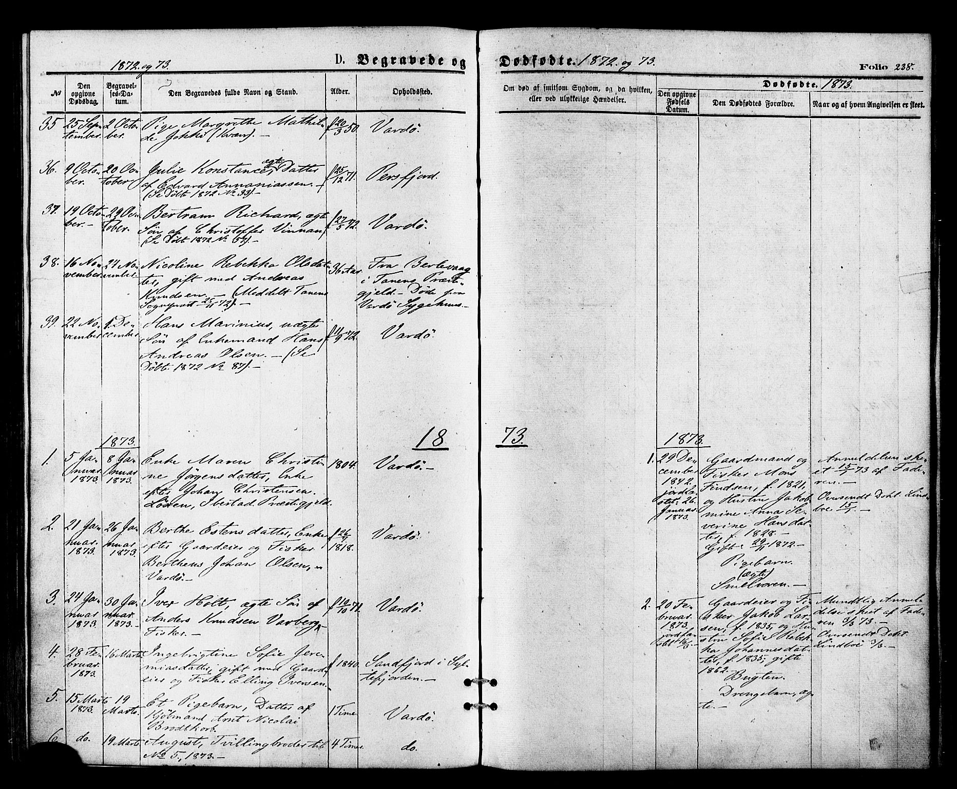 Vardø sokneprestkontor, SATØ/S-1332/H/Ha/L0005kirke: Parish register (official) no. 5, 1872-1878, p. 238