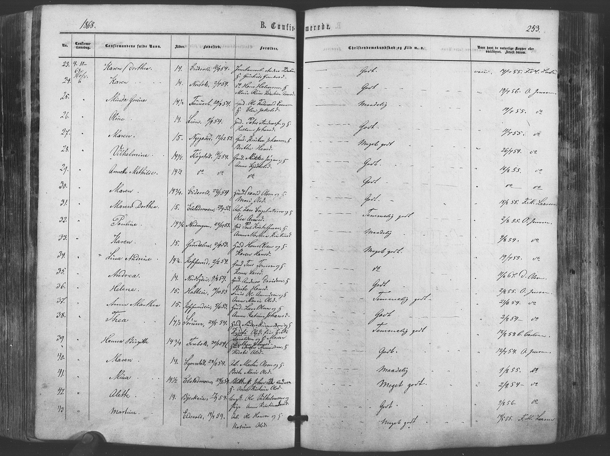 Ullensaker prestekontor Kirkebøker, AV/SAO-A-10236a/F/Fa/L0016: Parish register (official) no. I 16, 1863-1875, p. 253