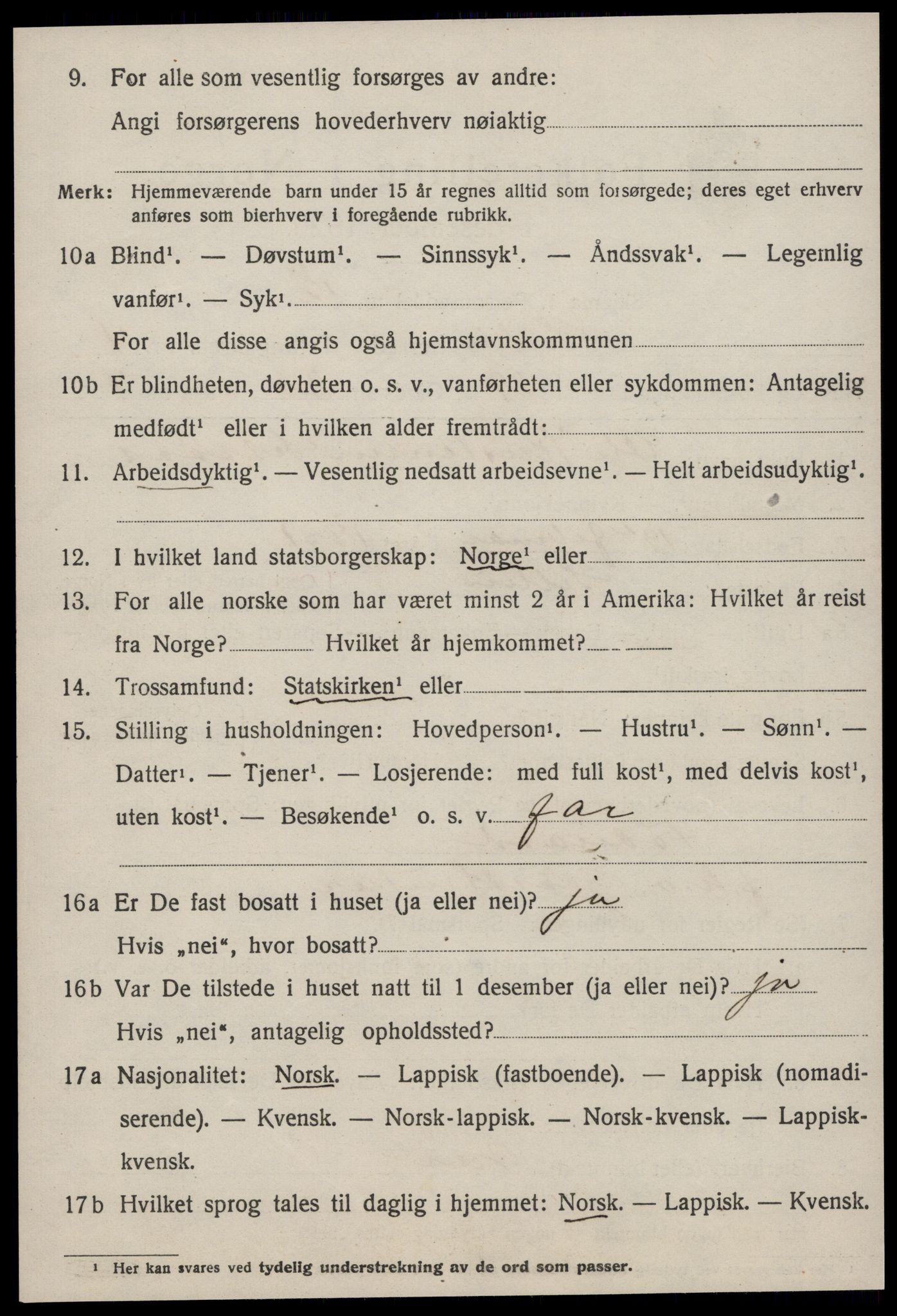 SAT, 1920 census for Selbu, 1920, p. 3197