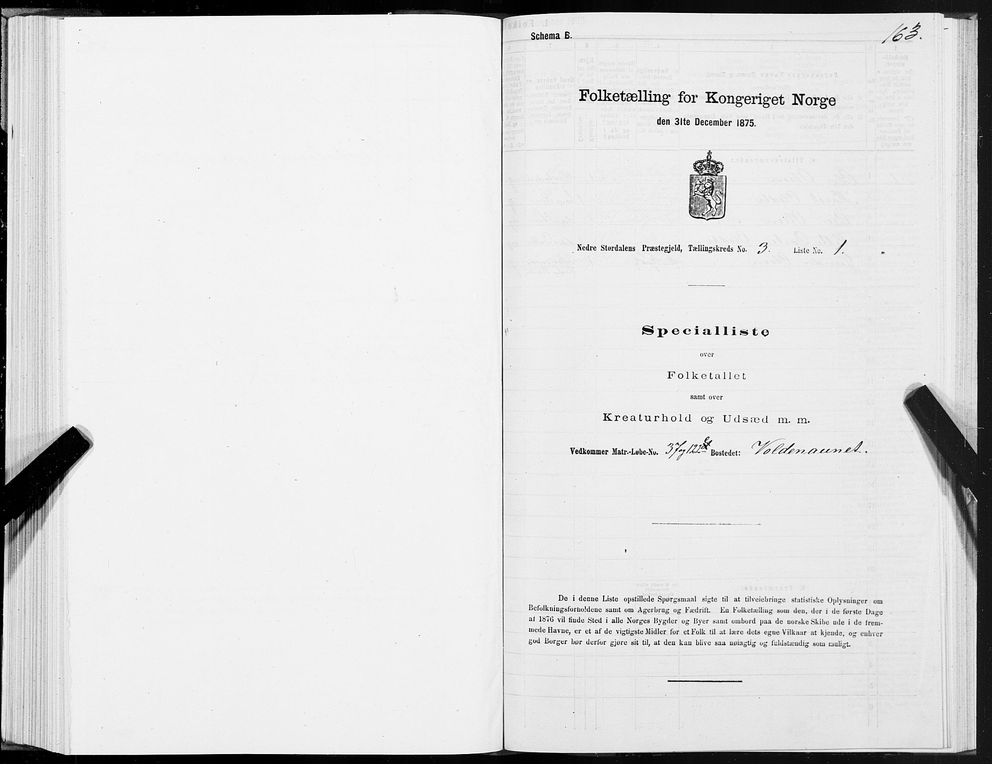 SAT, 1875 census for 1714P Nedre Stjørdal, 1875, p. 1163