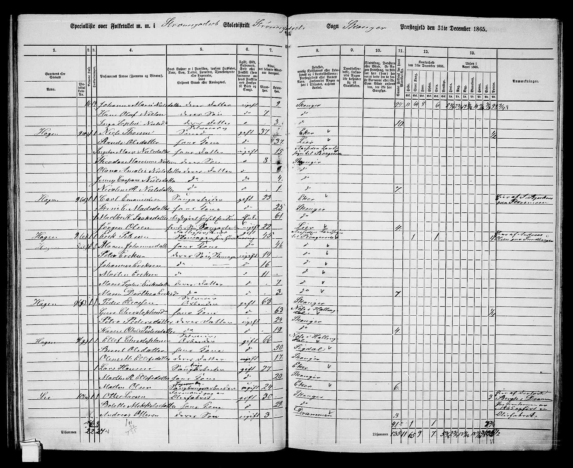 RA, 1865 census for Skoger, 1865, p. 119