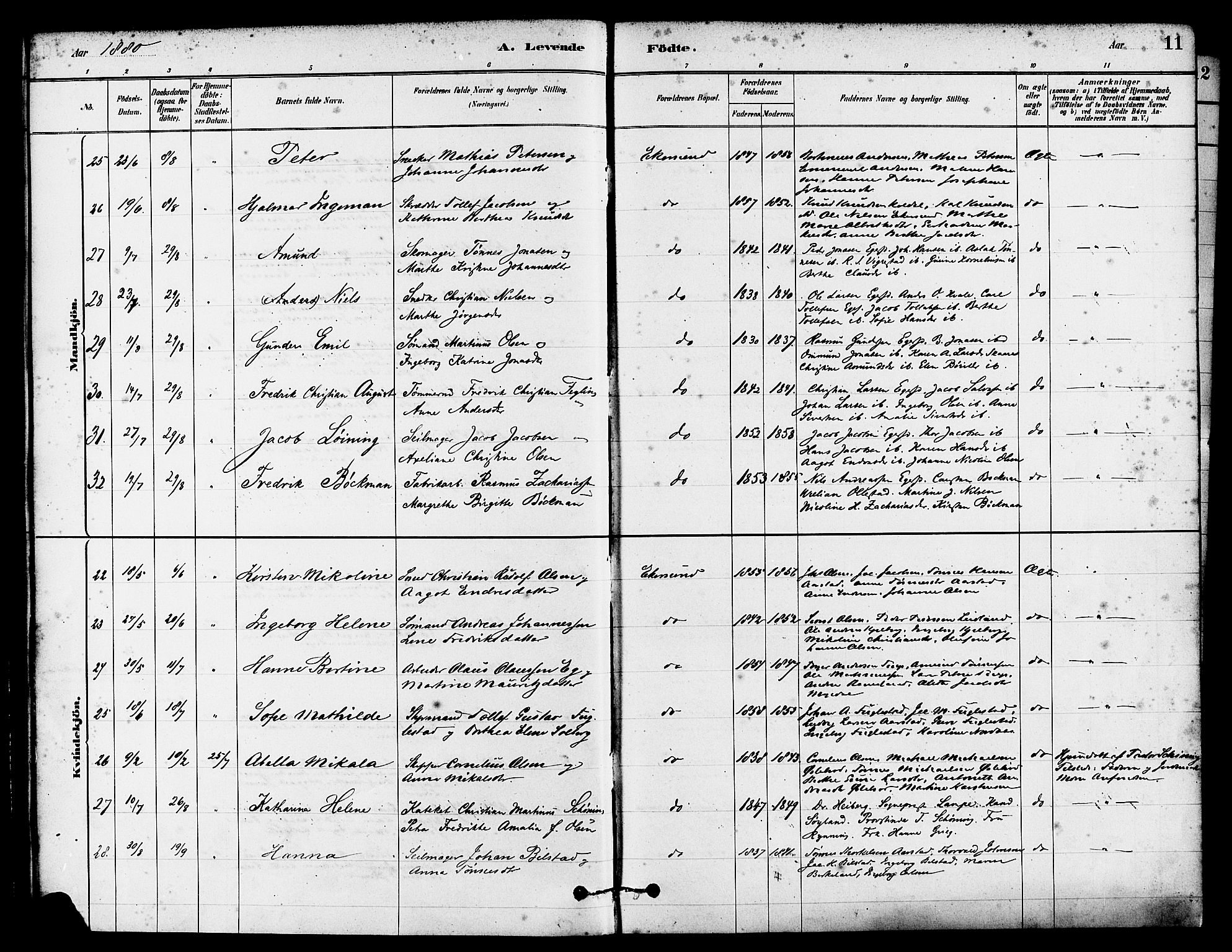 Eigersund sokneprestkontor, AV/SAST-A-101807/S08/L0015: Parish register (official) no. A 15, 1879-1892, p. 11