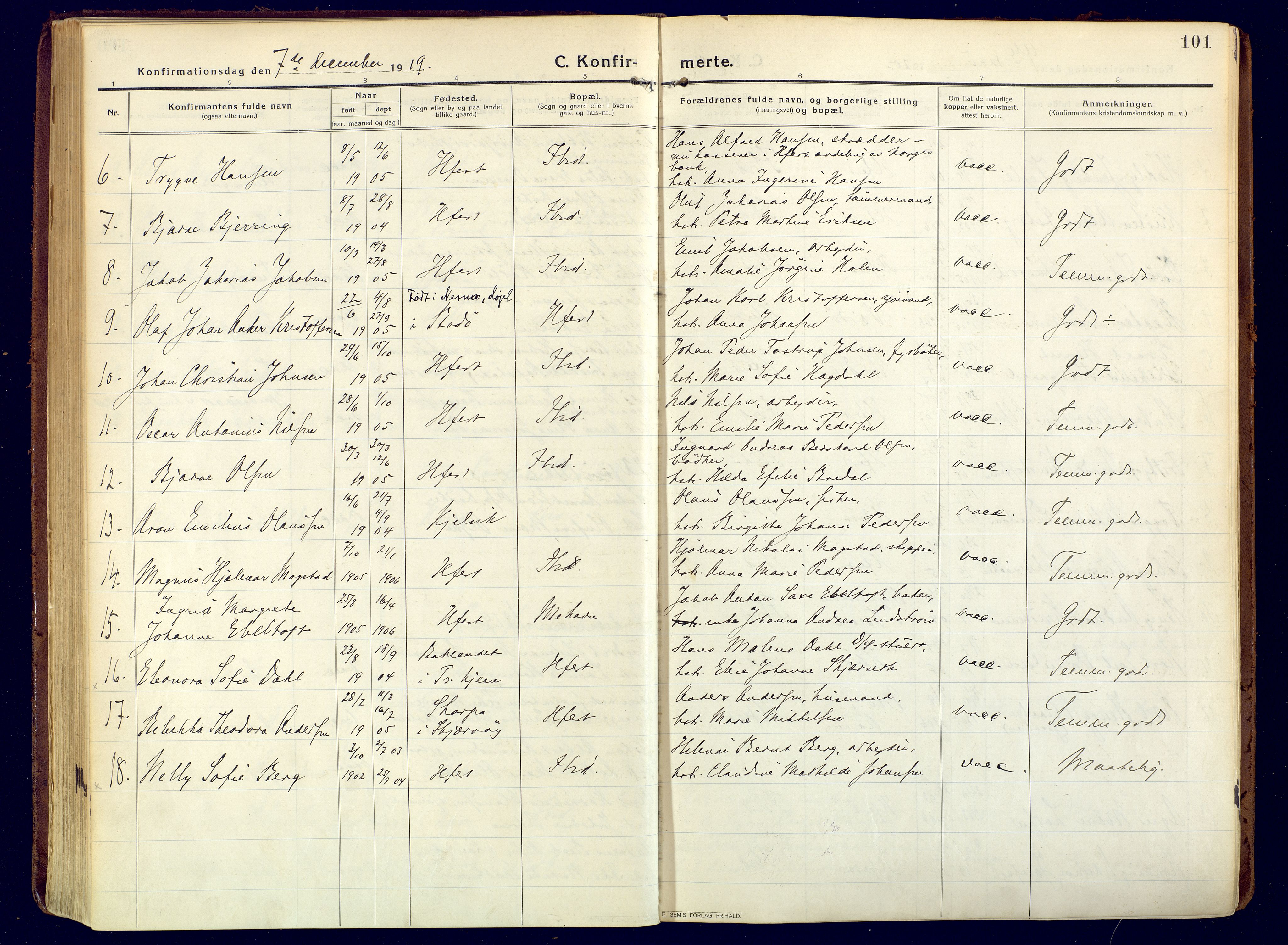 Hammerfest sokneprestkontor, SATØ/S-1347/H/Ha/L0015.kirke: Parish register (official) no. 15, 1916-1923, p. 101