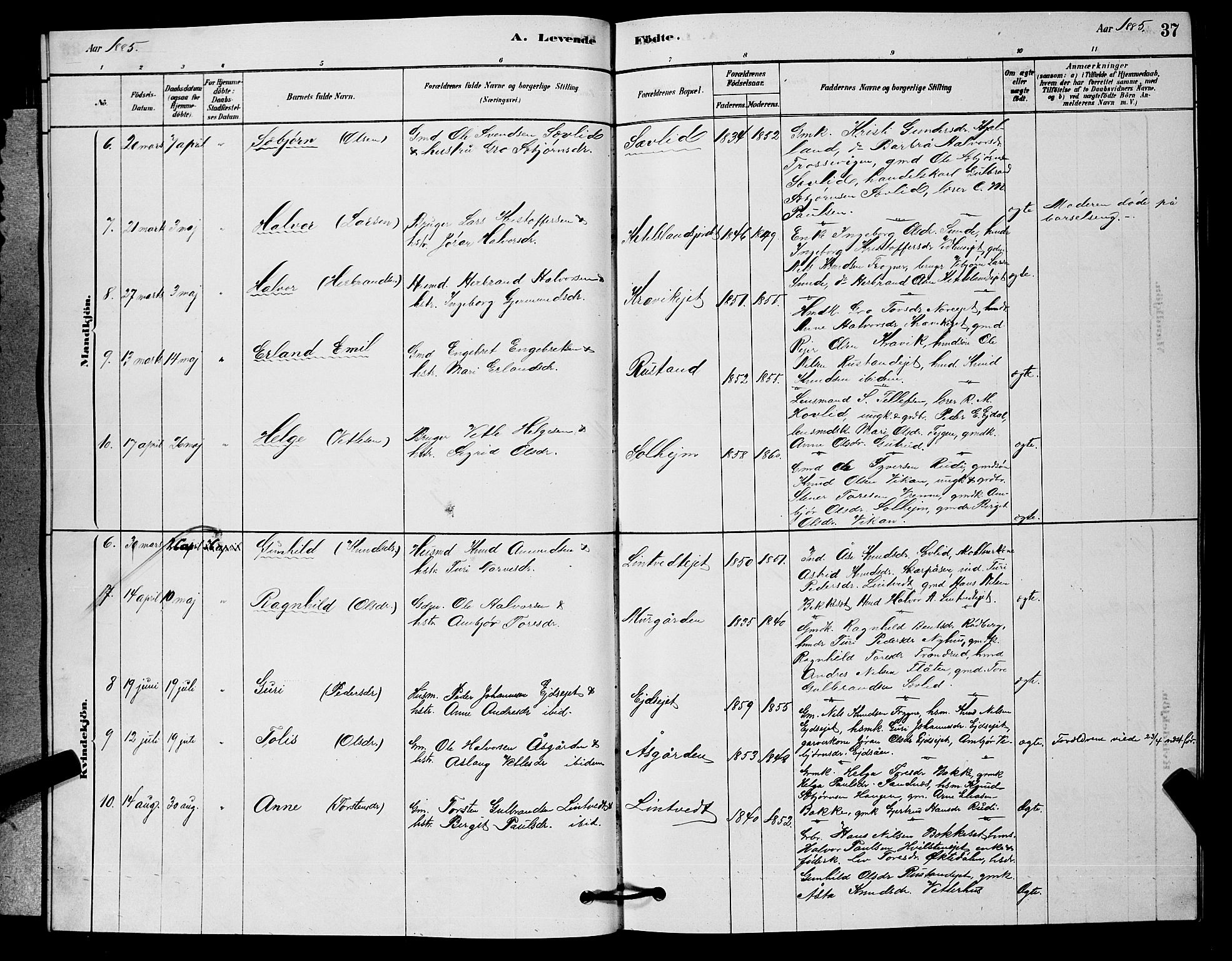 Nore kirkebøker, AV/SAKO-A-238/G/Ga/L0002: Parish register (copy) no. I 2, 1878-1885, p. 37