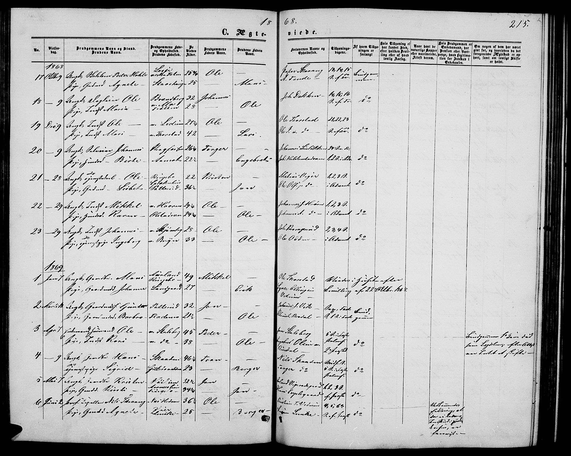 Øyer prestekontor, SAH/PREST-084/H/Ha/Hab/L0001: Parish register (copy) no. 1, 1863-1877, p. 215