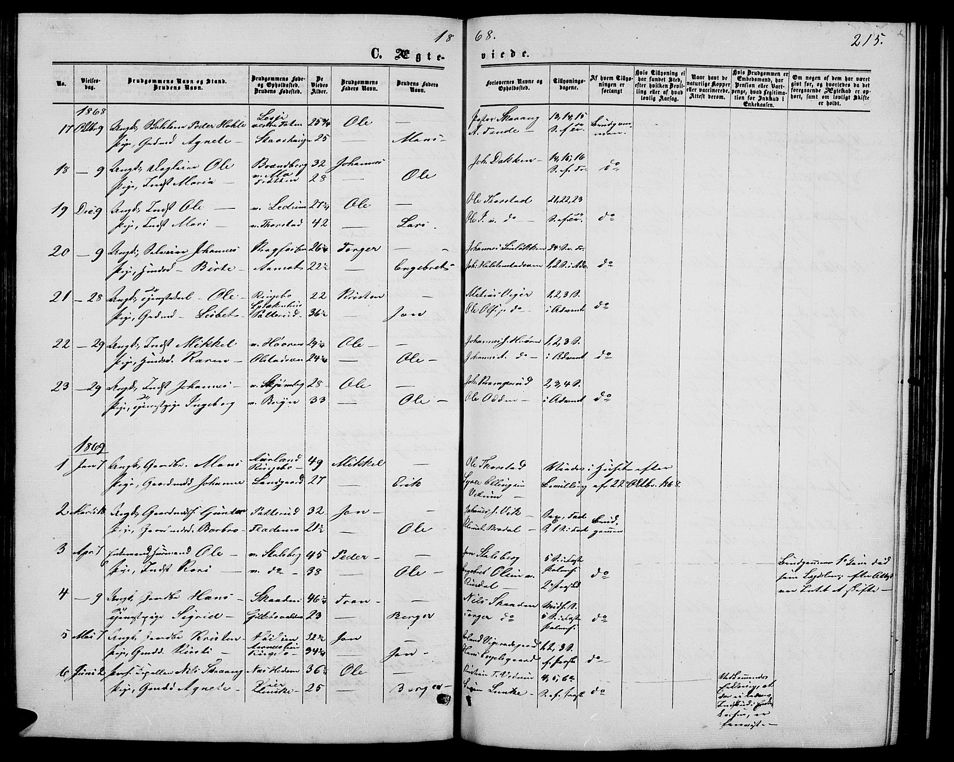 Øyer prestekontor, AV/SAH-PREST-084/H/Ha/Hab/L0001: Parish register (copy) no. 1, 1863-1877, p. 215