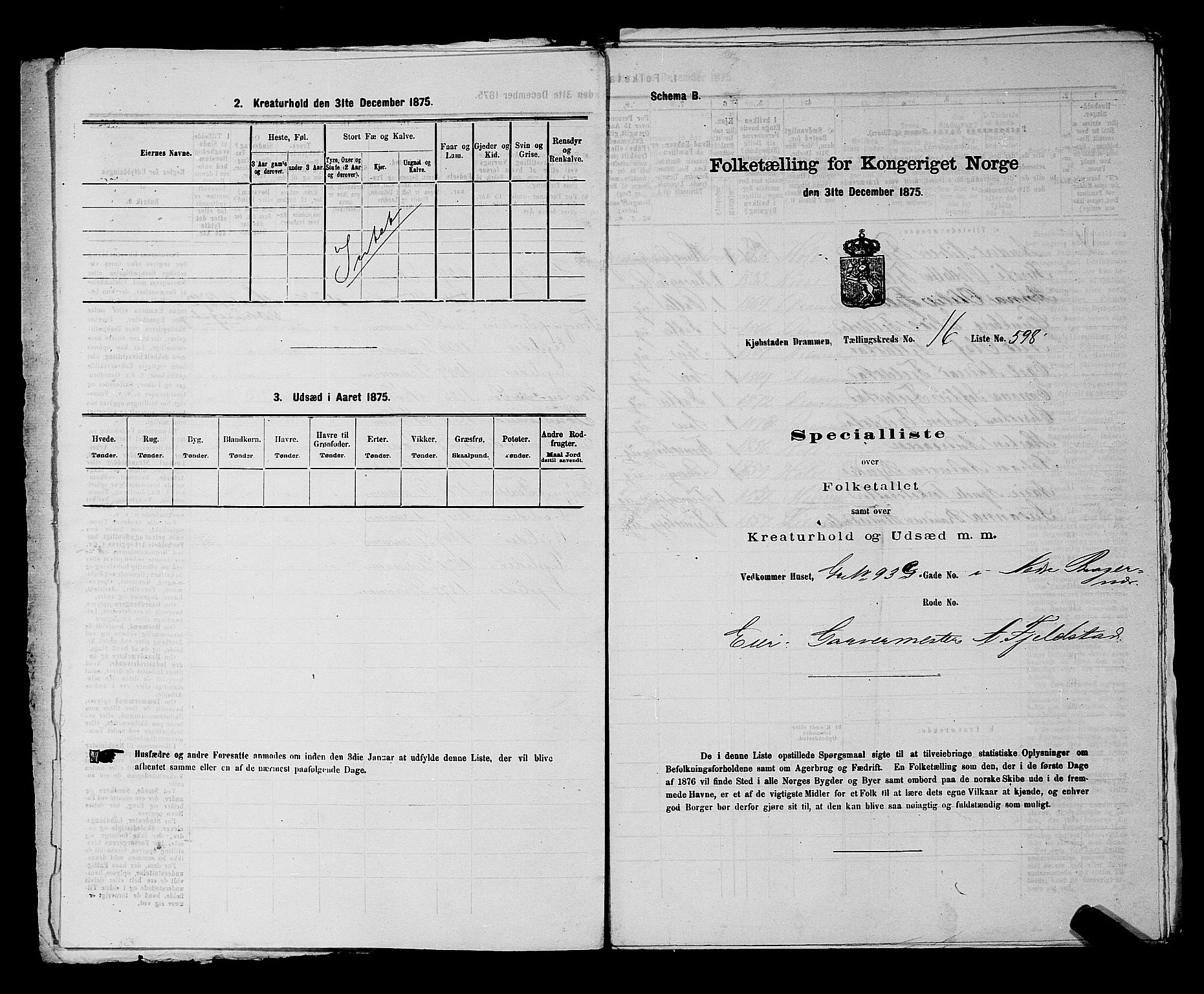 SAKO, 1875 census for 0602 Drammen, 1875, p. 1773