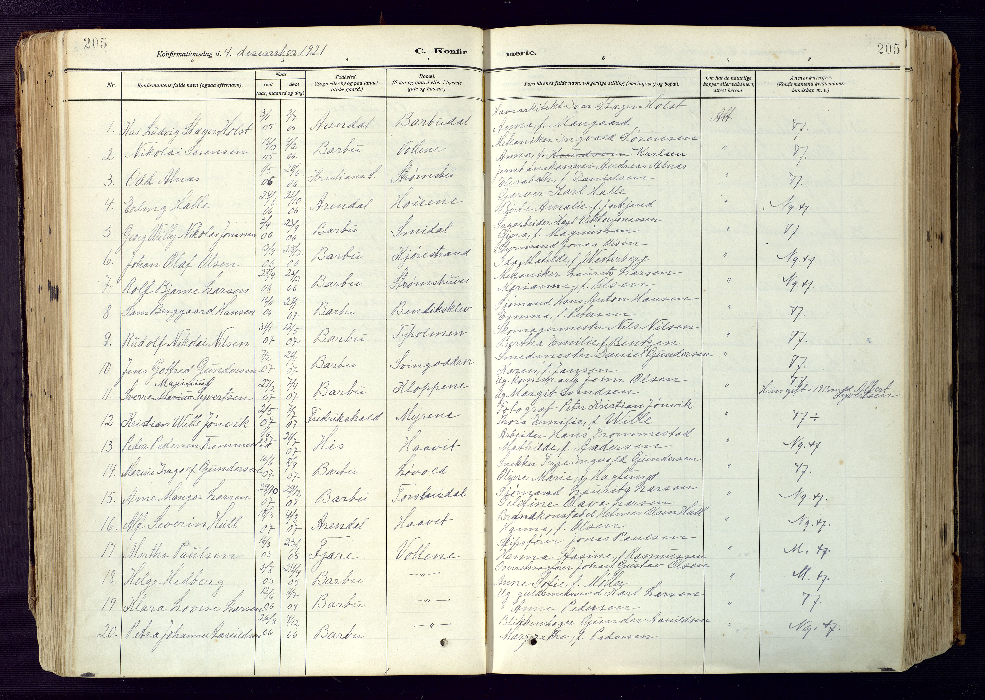 Barbu sokneprestkontor, AV/SAK-1111-0003/F/Fa/L0006: Parish register (official) no. A 6, 1910-1929, p. 205