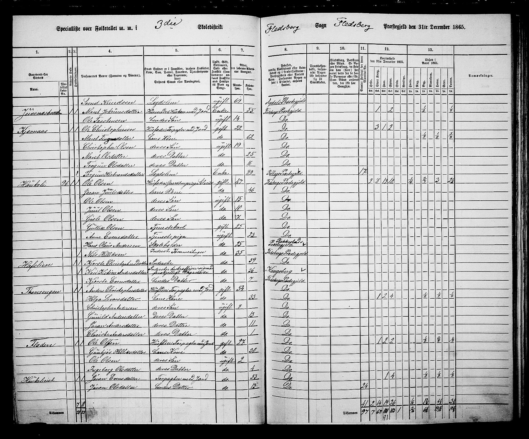 RA, 1865 census for Flesberg, 1865, p. 67