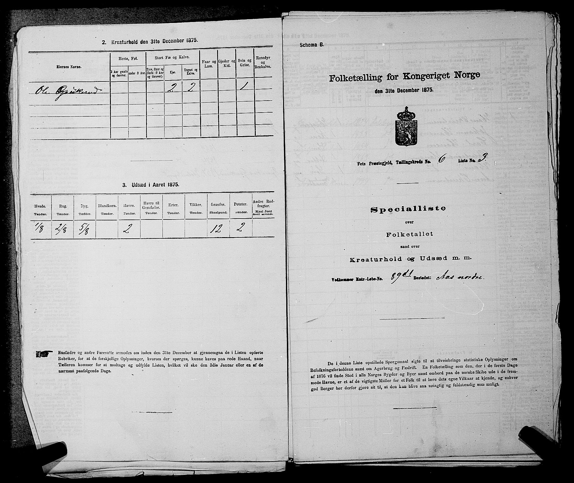 RA, 1875 census for 0227P Fet, 1875, p. 804