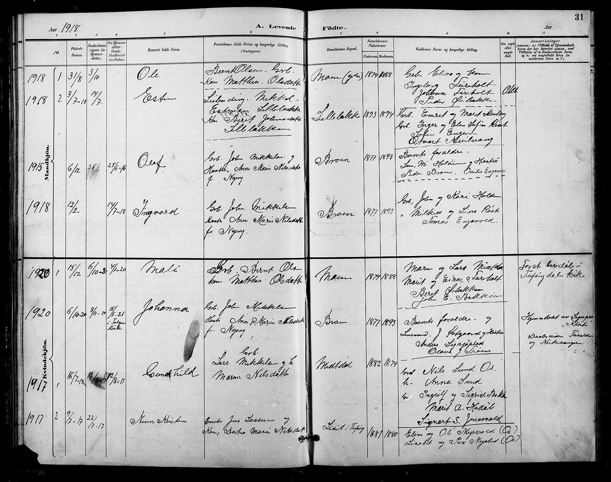 Tolga prestekontor, SAH/PREST-062/L/L0011: Parish register (copy) no. 11, 1894-1925, p. 31