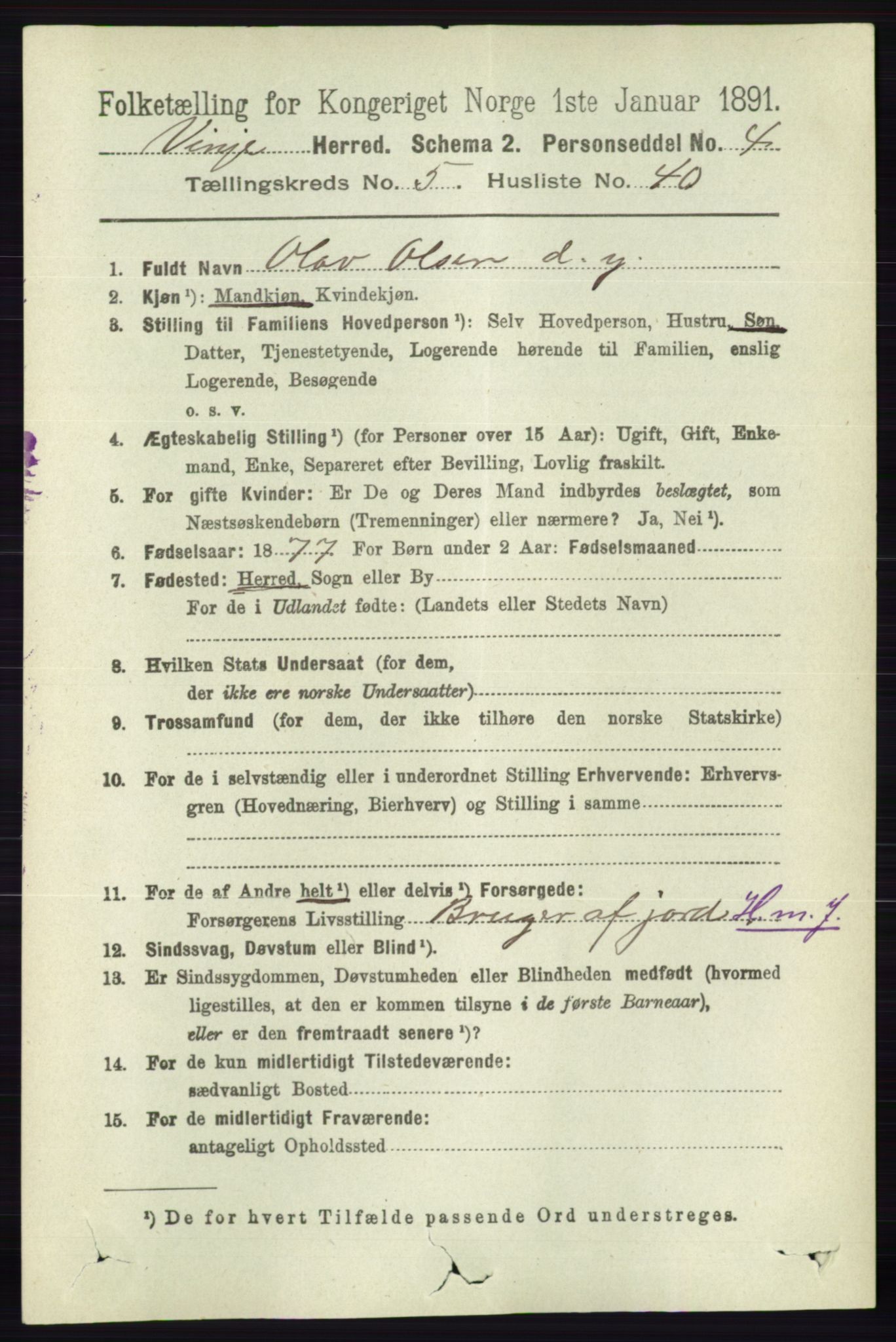 RA, 1891 census for 0834 Vinje, 1891, p. 1352