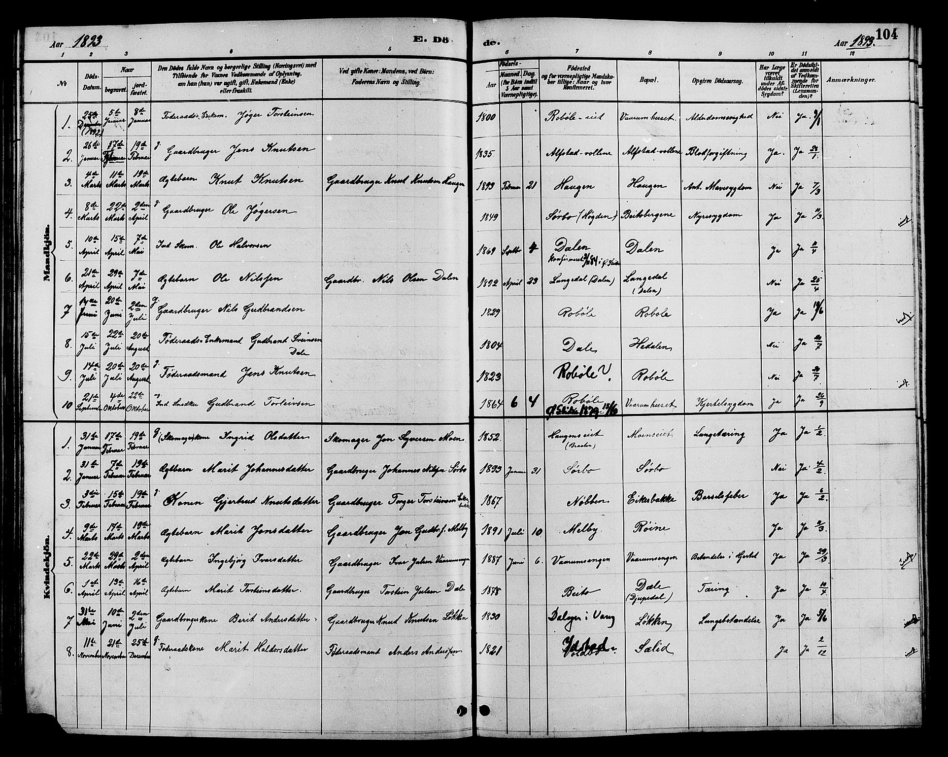 Øystre Slidre prestekontor, AV/SAH-PREST-138/H/Ha/Hab/L0004: Parish register (copy) no. 4, 1887-1907, p. 104