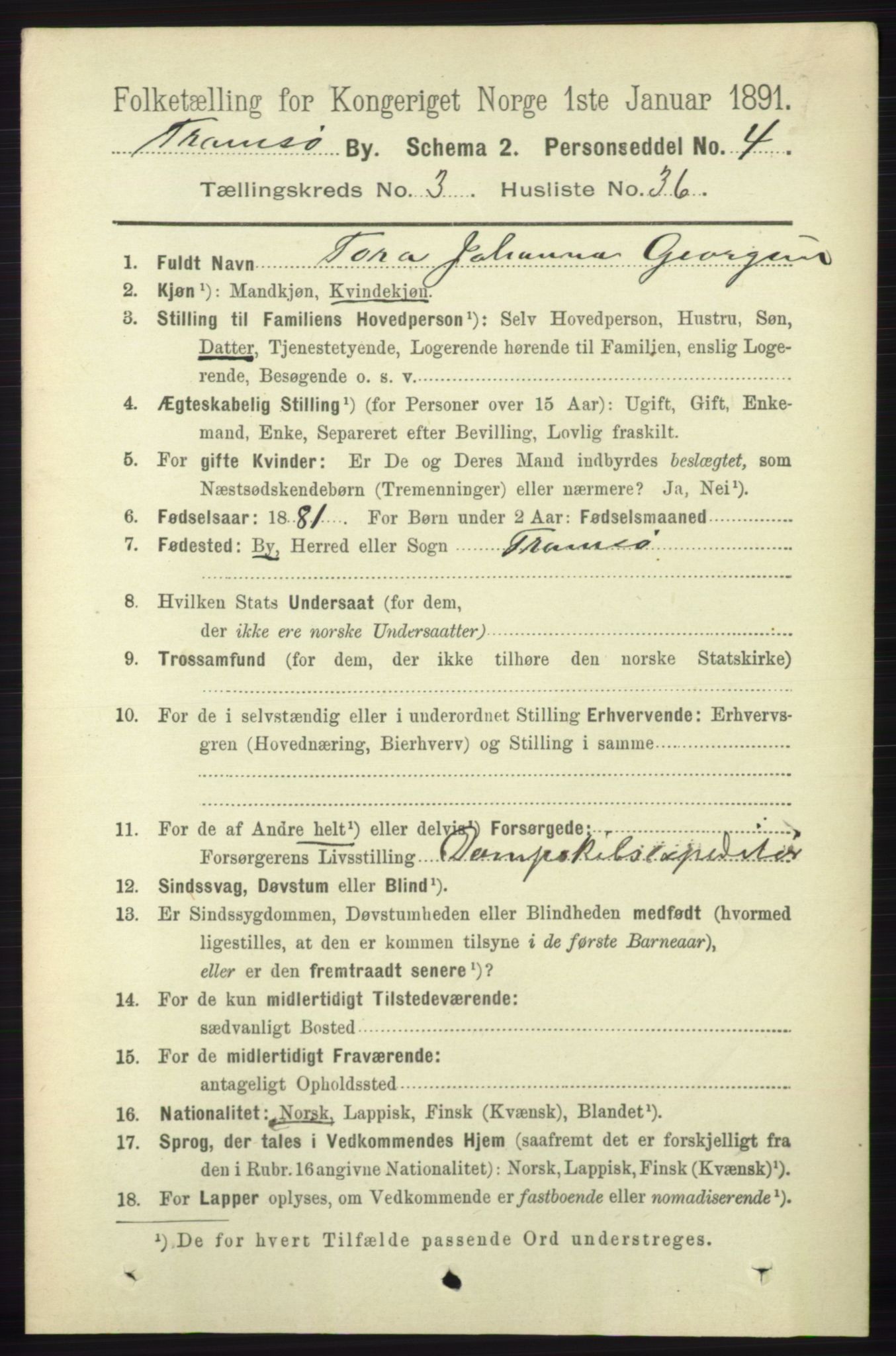 RA, 1891 census for 1902 Tromsø, 1891, p. 3501