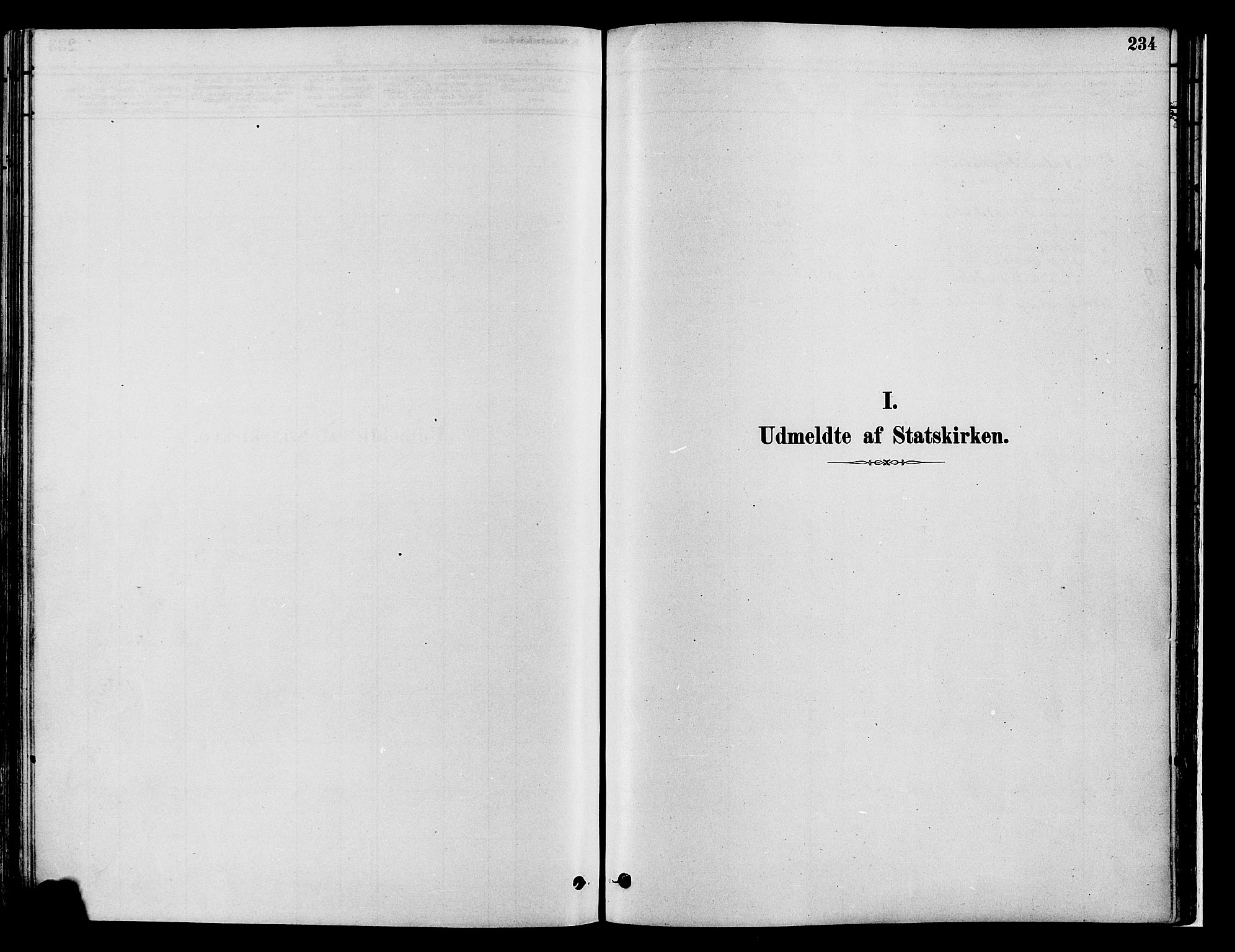 Gran prestekontor, SAH/PREST-112/H/Ha/Haa/L0014: Parish register (official) no. 14, 1880-1889, p. 234