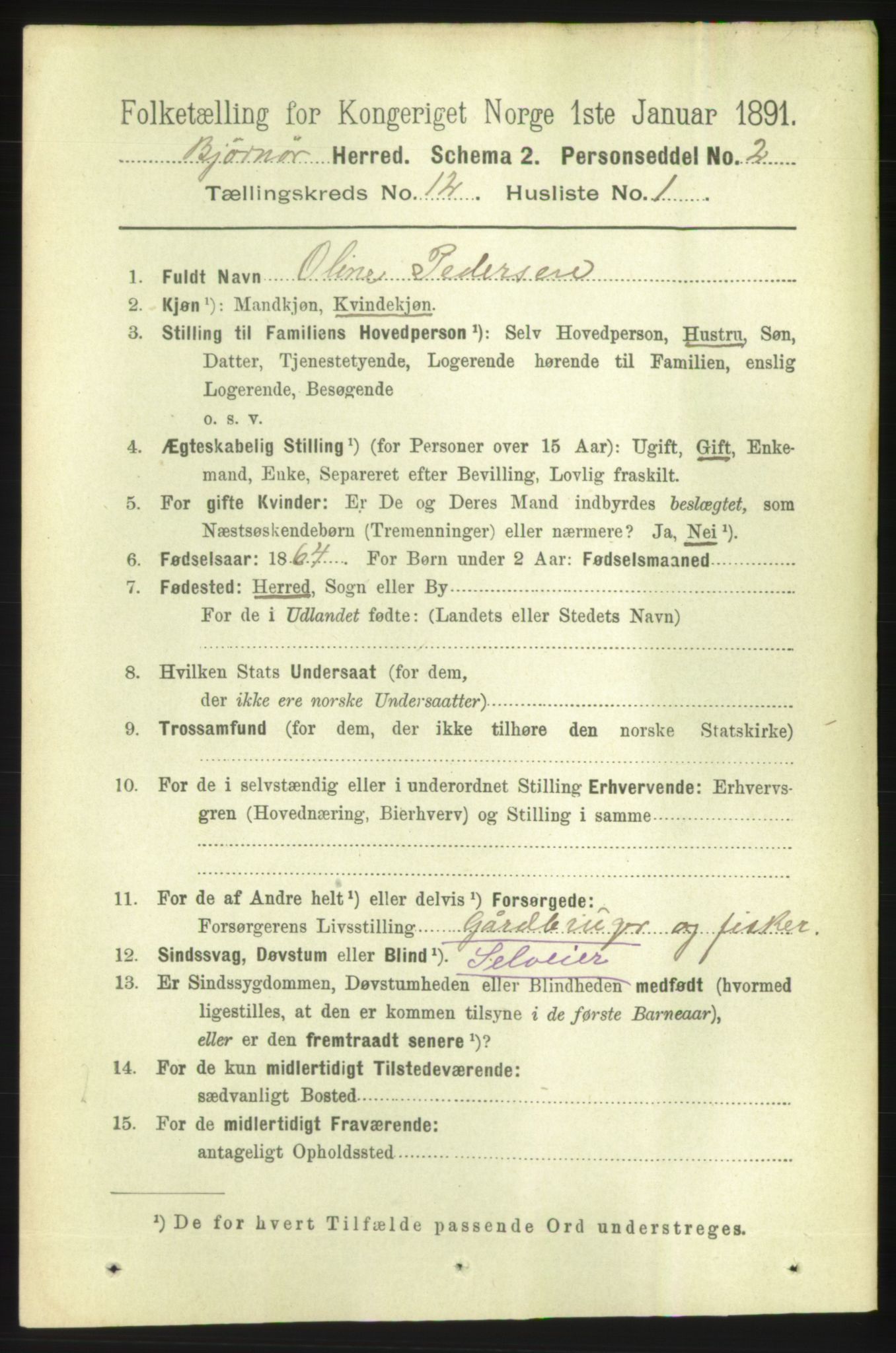 RA, 1891 census for 1632 Bjørnør, 1891, p. 5095