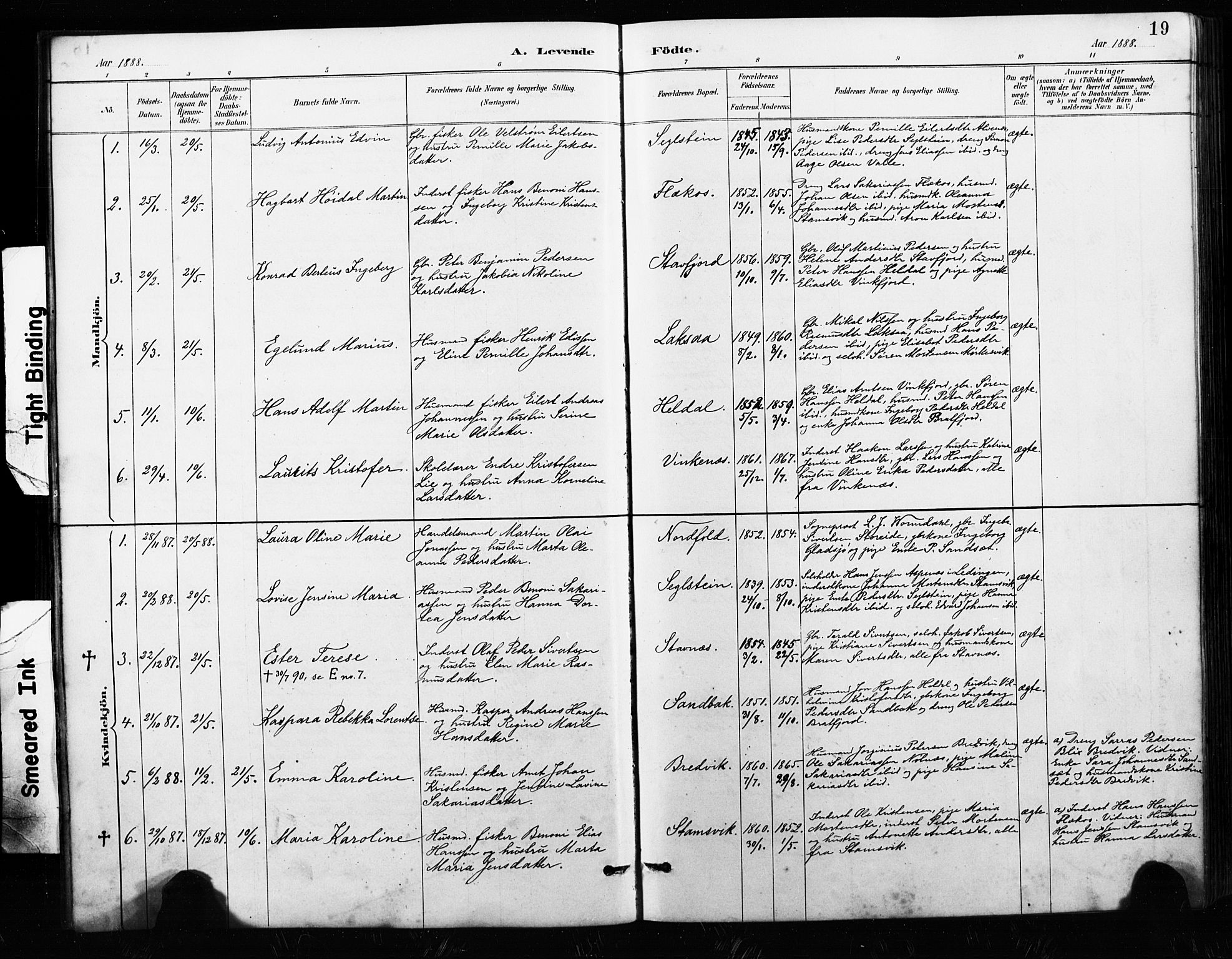 Ministerialprotokoller, klokkerbøker og fødselsregistre - Nordland, AV/SAT-A-1459/858/L0834: Parish register (copy) no. 858C01, 1884-1904, p. 19