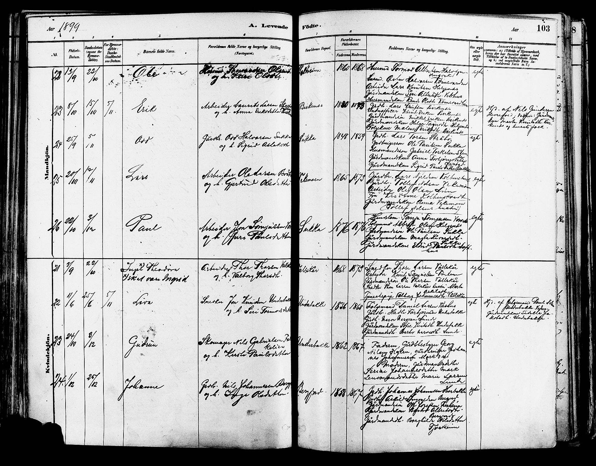Suldal sokneprestkontor, SAST/A-101845/01/IV/L0011: Parish register (official) no. A 11, 1878-1900, p. 103