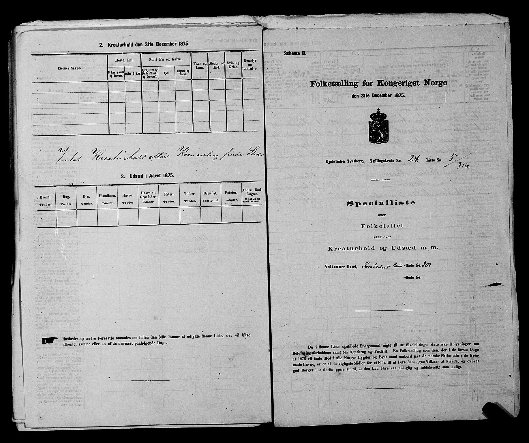 SAKO, 1875 census for 0705P Tønsberg, 1875, p. 770