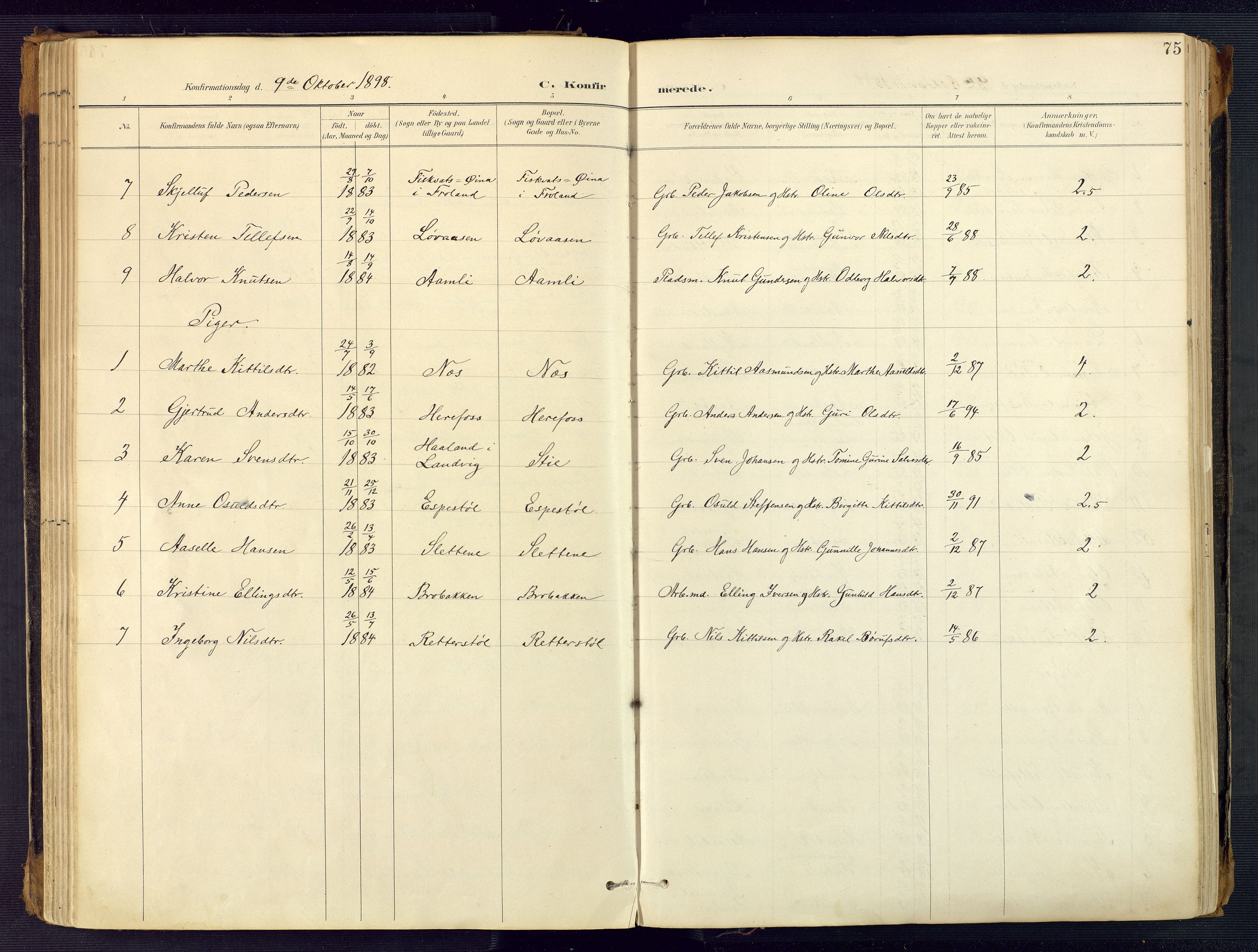 Herefoss sokneprestkontor, AV/SAK-1111-0019/F/Fa/Faa/L0003: Parish register (official) no. A 3, 1887-1930, p. 75