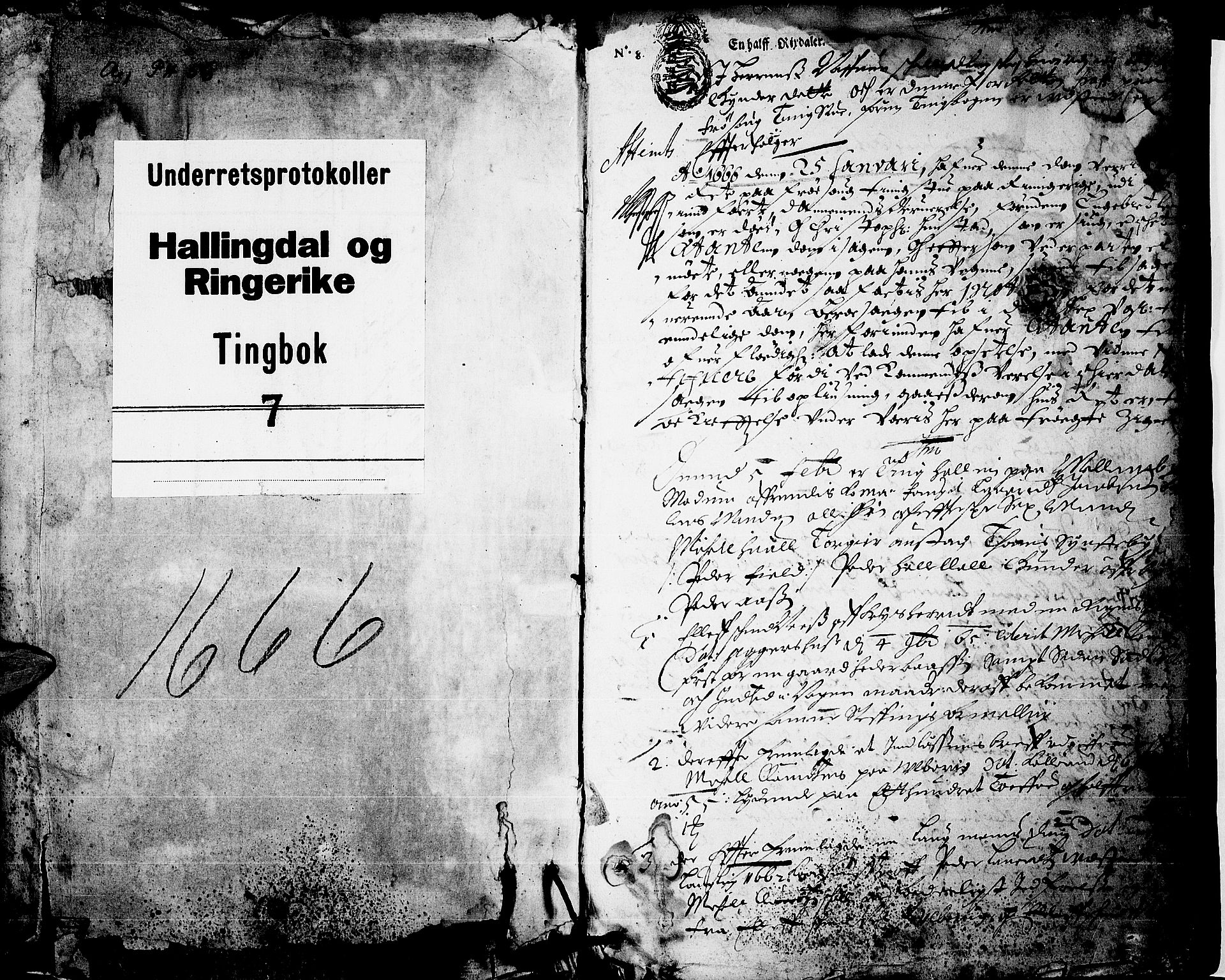 Ringerike og Hallingdal sorenskriveri, SAKO/A-81/F/Fa/Faa/L0007: Tingbok, 1666, p. 0b-1a