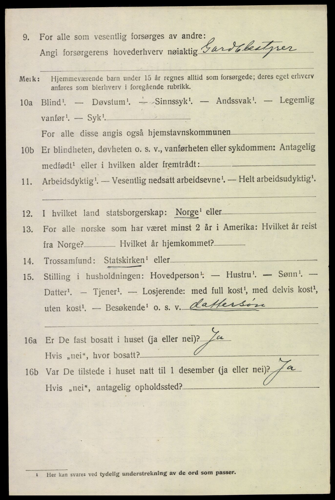 SAH, 1920 census for Skjåk, 1920, p. 2979