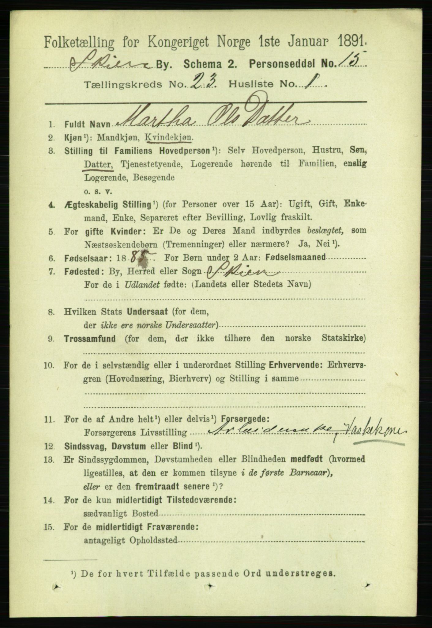 RA, 1891 census for 0806 Skien, 1891, p. 5829