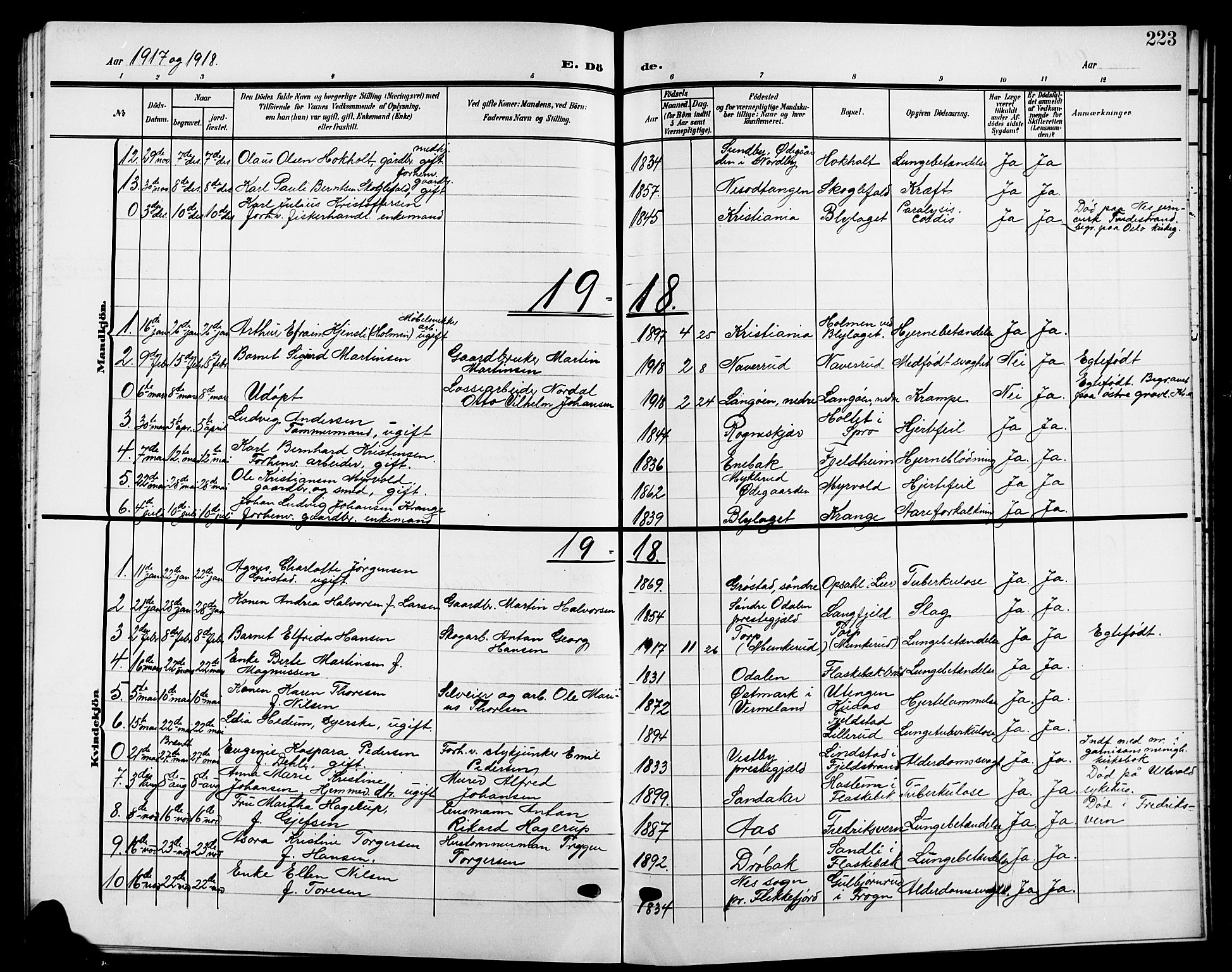 Nesodden prestekontor Kirkebøker, SAO/A-10013/G/Ga/L0002: Parish register (copy) no. I 2, 1905-1924, p. 223