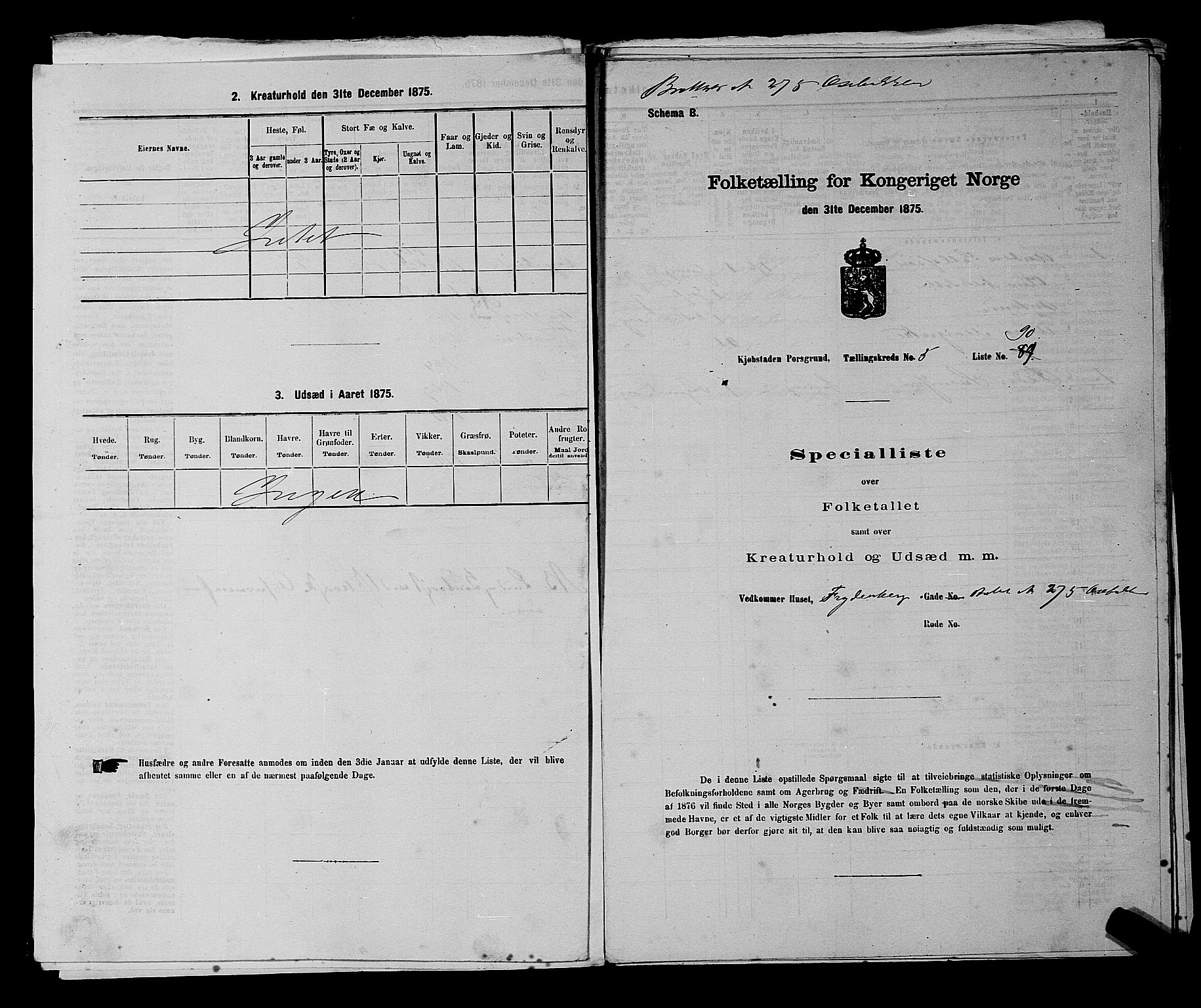 SAKO, 1875 census for 0805P Porsgrunn, 1875, p. 225