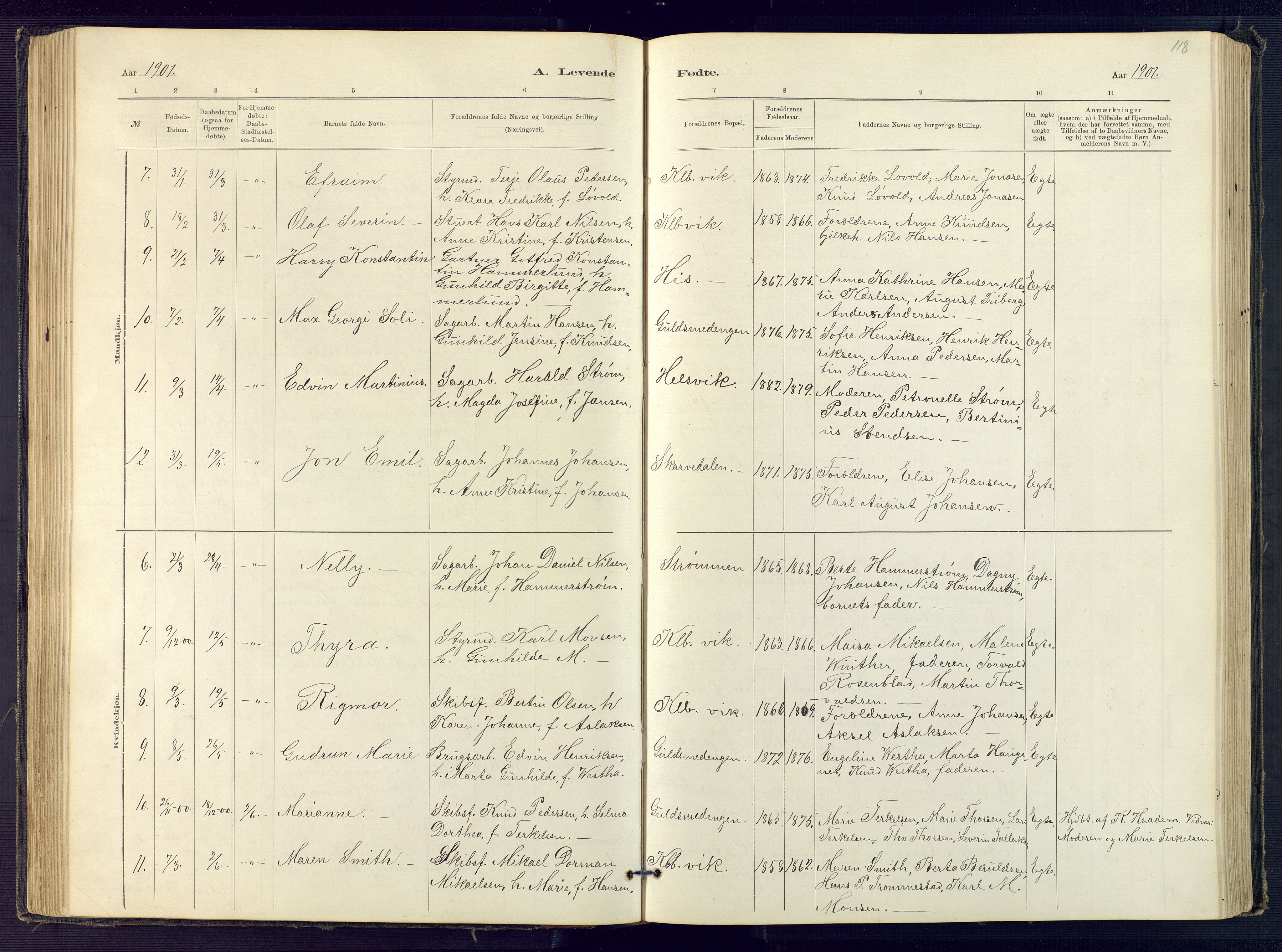 Hisøy sokneprestkontor, AV/SAK-1111-0020/F/Fb/L0003: Parish register (copy) no. B 3, 1885-1905, p. 118