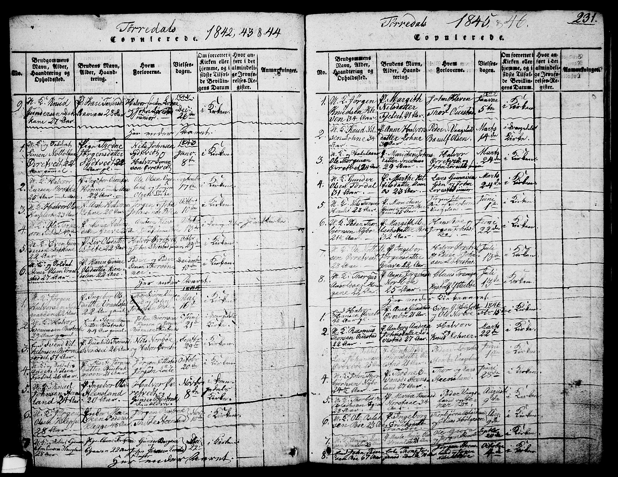 Drangedal kirkebøker, SAKO/A-258/G/Ga/L0001: Parish register (copy) no. I 1 /2, 1814-1856, p. 231