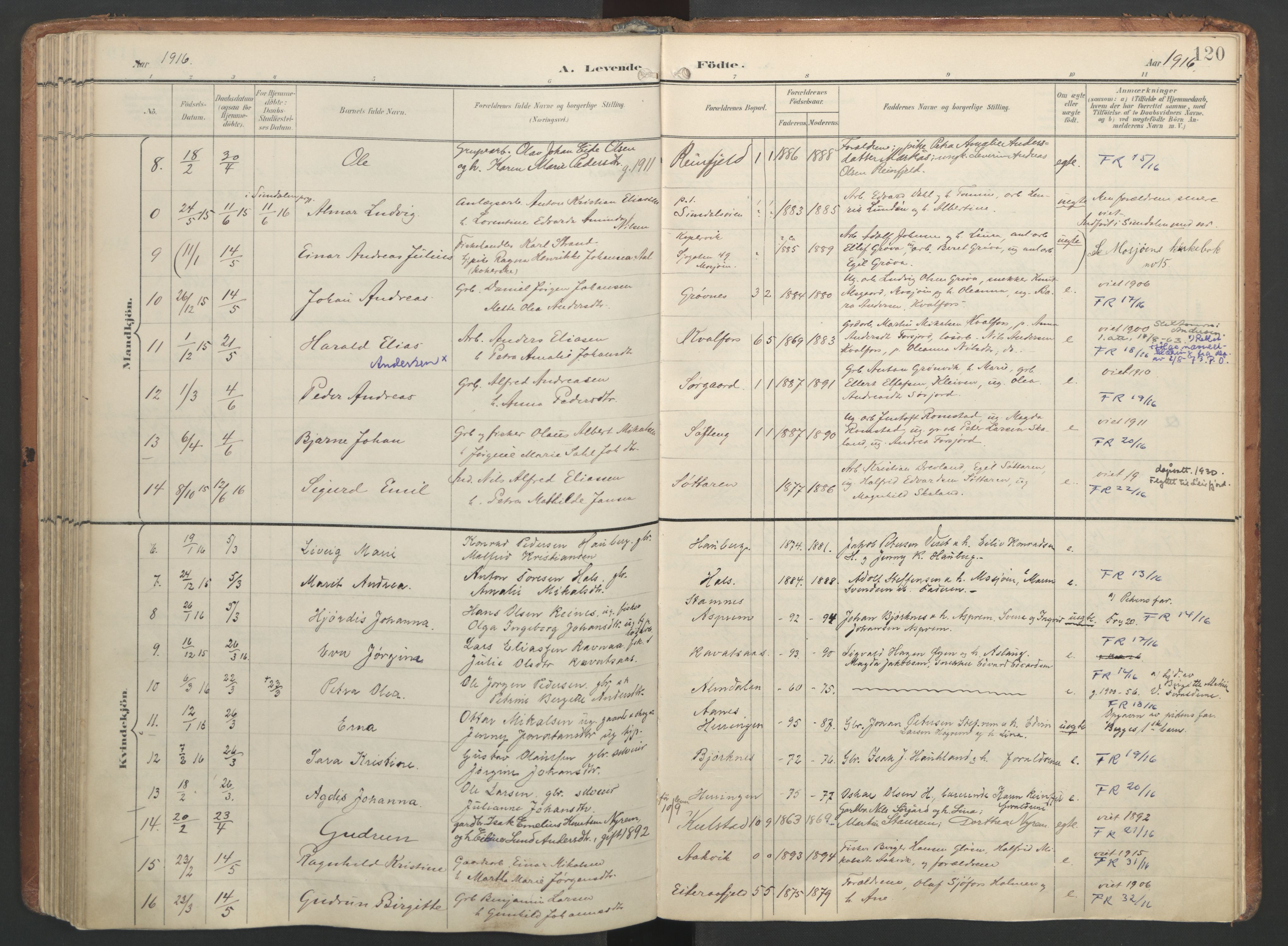 Ministerialprotokoller, klokkerbøker og fødselsregistre - Nordland, SAT/A-1459/820/L0297: Parish register (official) no. 820A18, 1897-1917, p. 120