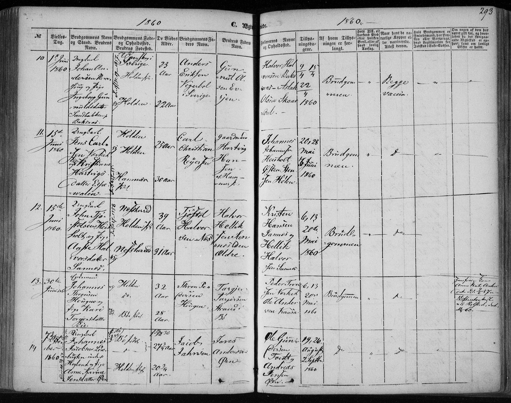 Holla kirkebøker, AV/SAKO-A-272/F/Fa/L0005: Parish register (official) no. 5, 1849-1860, p. 293